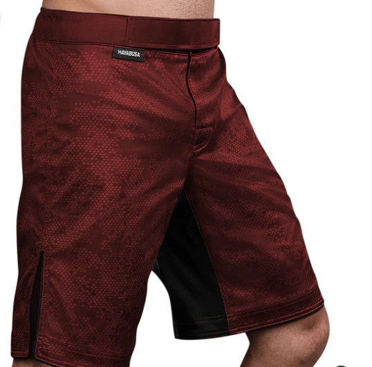 HAYABUSA Hexagon Fight Shorts · v4