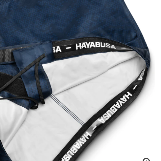 HAYABUSA Hexagon Fight Shorts · v4