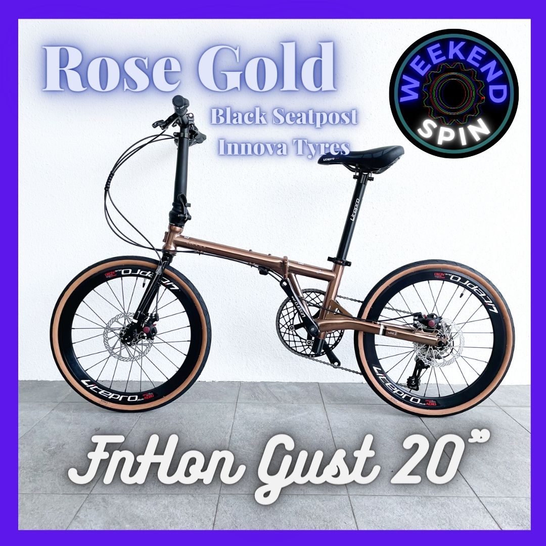 [Stock Ready] Fnhon Gust 20" Foldable / Folding Bicycle · v6