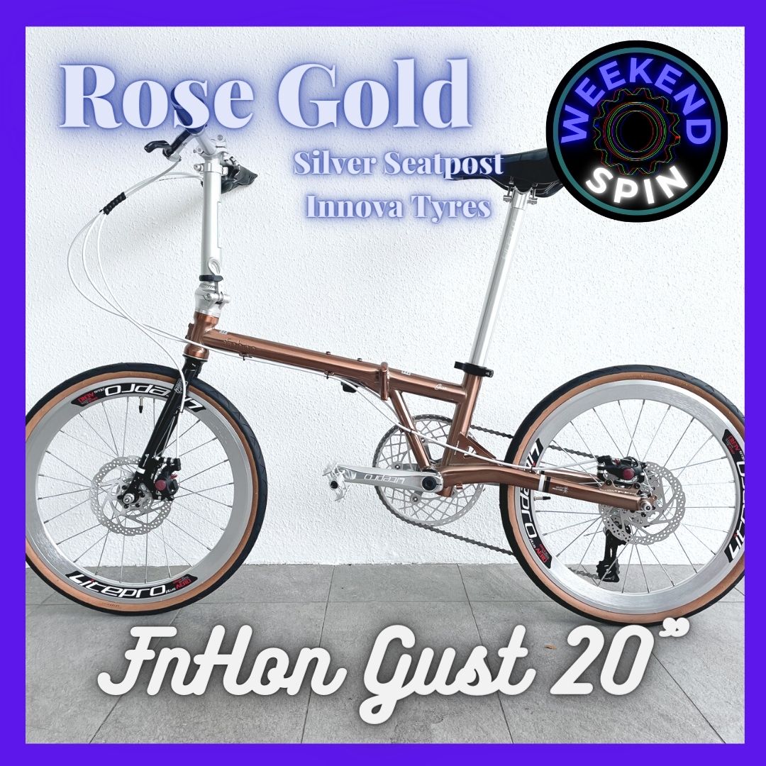 [Stock Ready] Fnhon Gust 20" Foldable / Folding Bicycle · v6