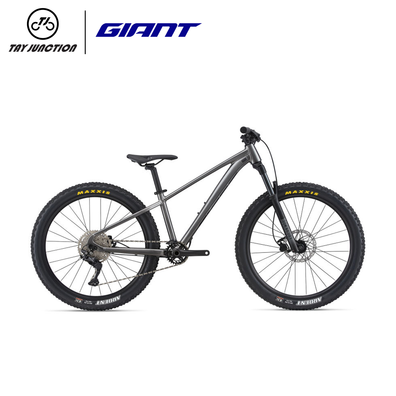 Giant Youth Mountain Bike STP 26 · v7