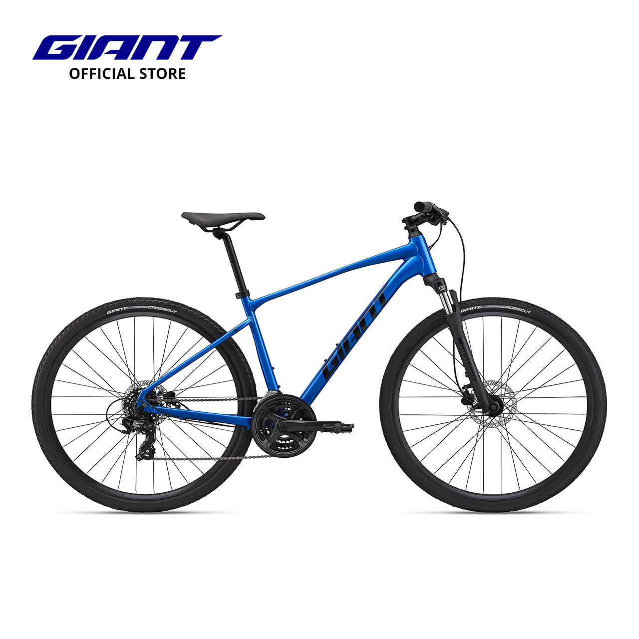 Giant Adventure Bike Roam 4 Disc (3X7) · v8