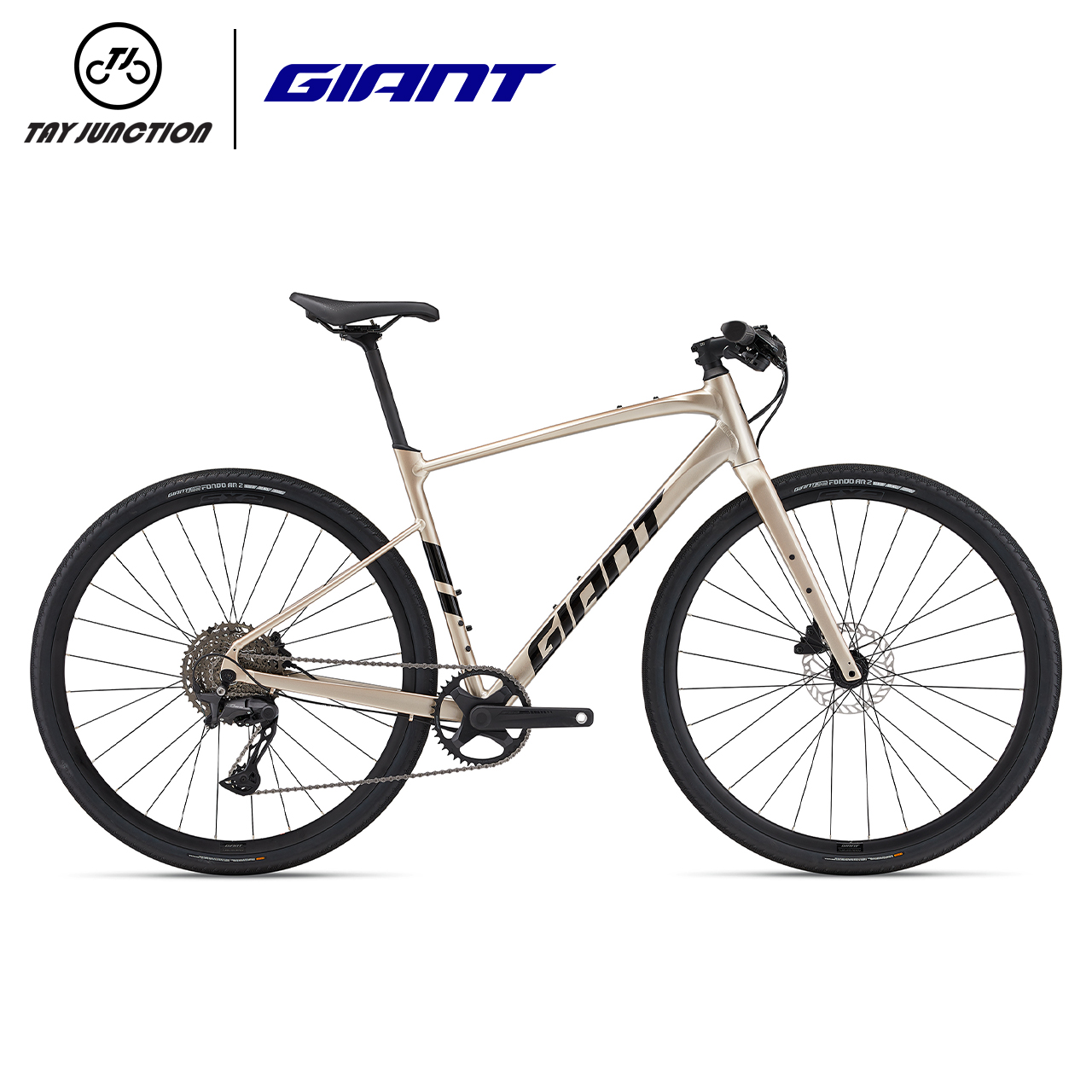 Giant Fitness Bike Fastroad AR 1 (Cues)