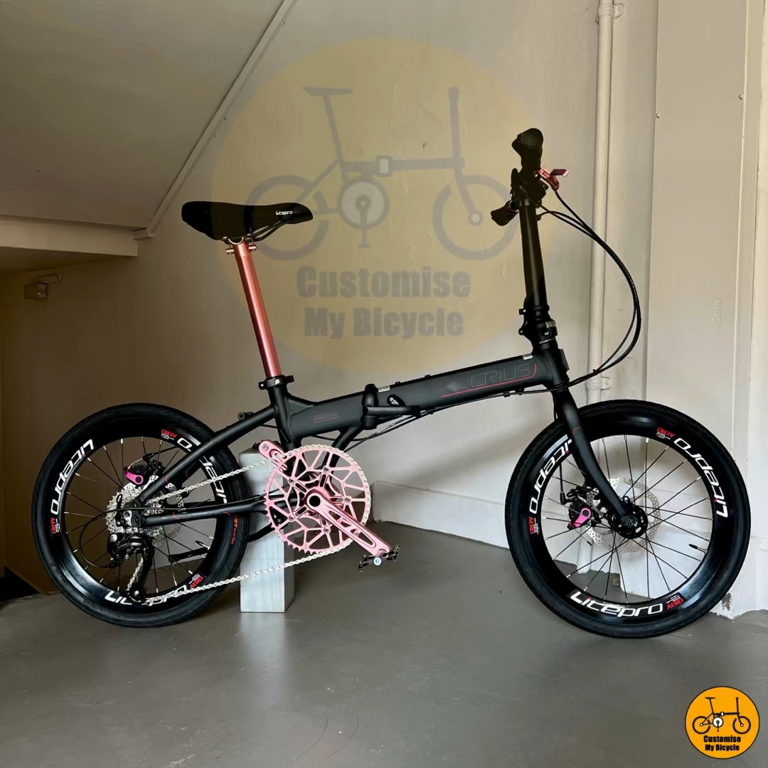 Fnhon Gust 20-calowy rower składany Shimano 9-biegowa lekka rama Schwalbe Marathon Opony zielone