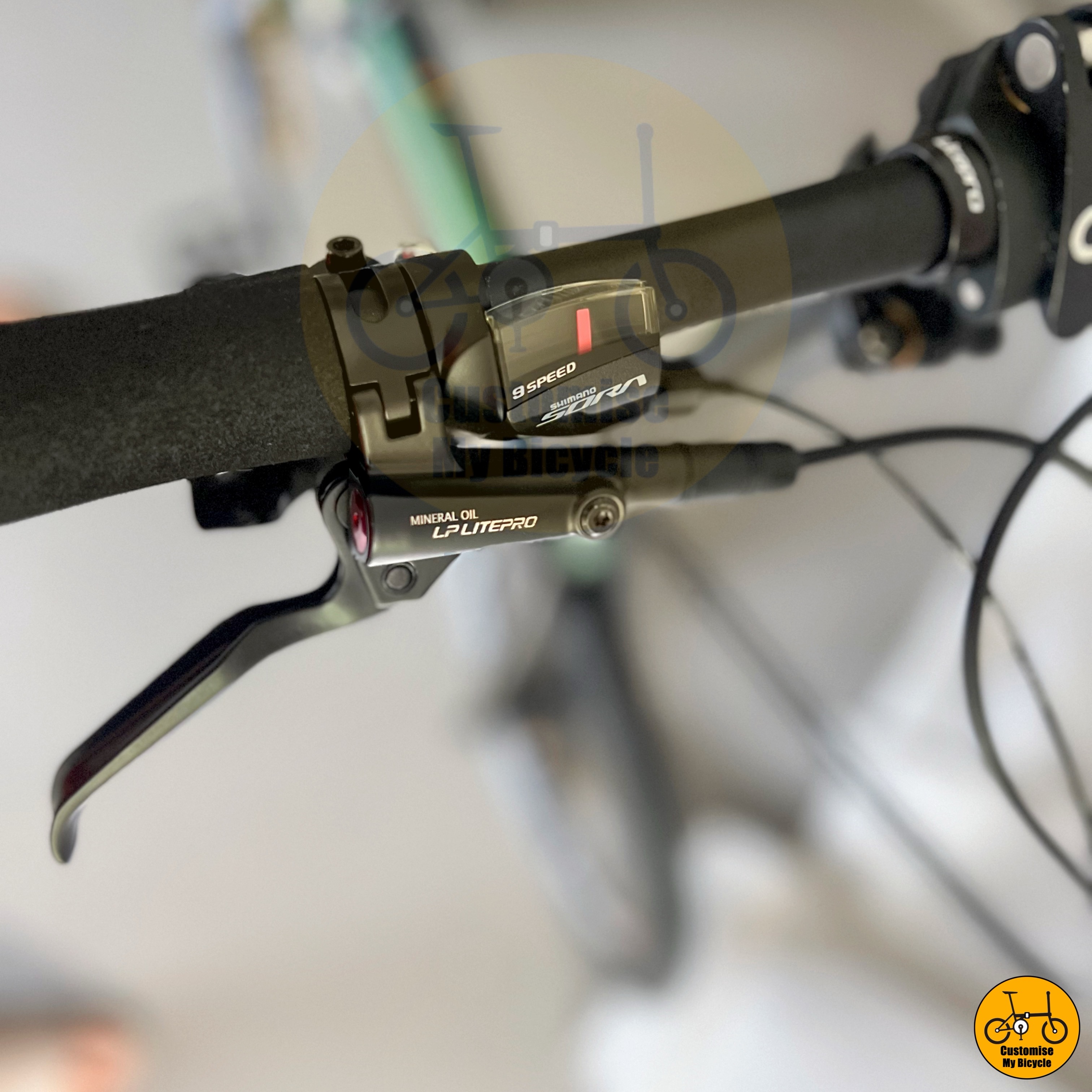 Fnhon Gust 20-calowy rower składany Shimano 9-biegowa lekka rama Schwalbe Marathon Opony zielone