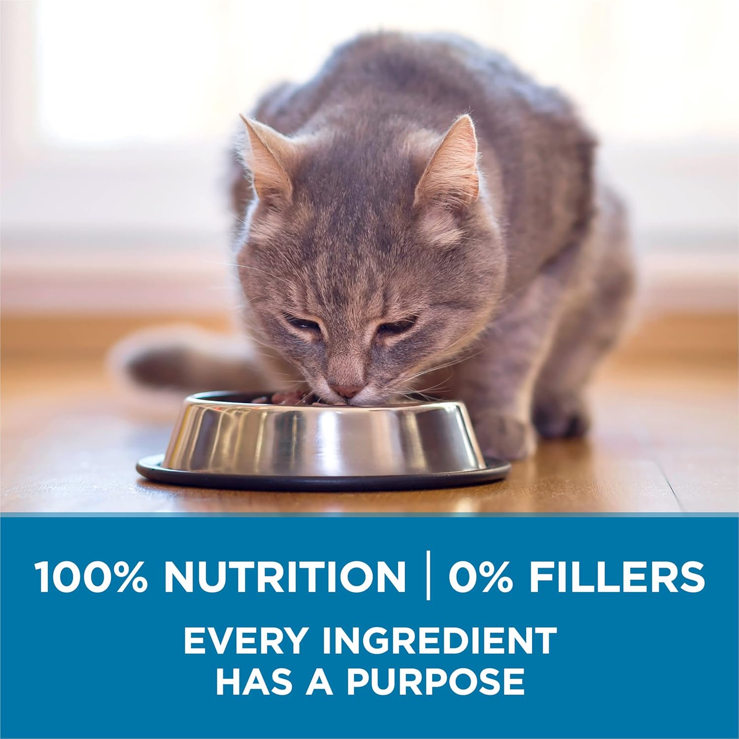 Nourriture sèche naturelle pour chats Purina ONE, riche en protéines, pour chats, Indoor Advantage Senior, sac de 3,5 livres