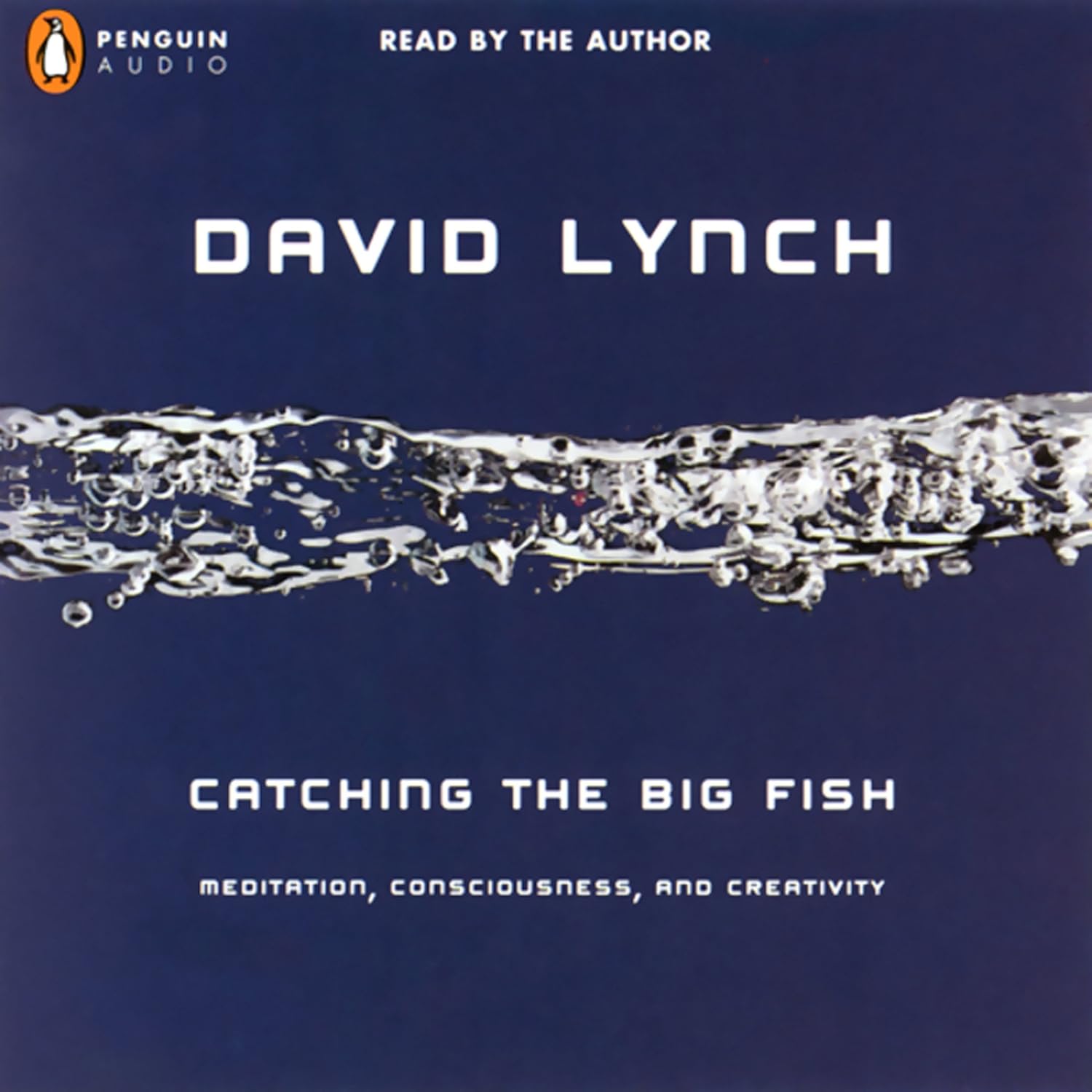 Catching the Big Fish: Meditation, Consciousness, and Creativity
