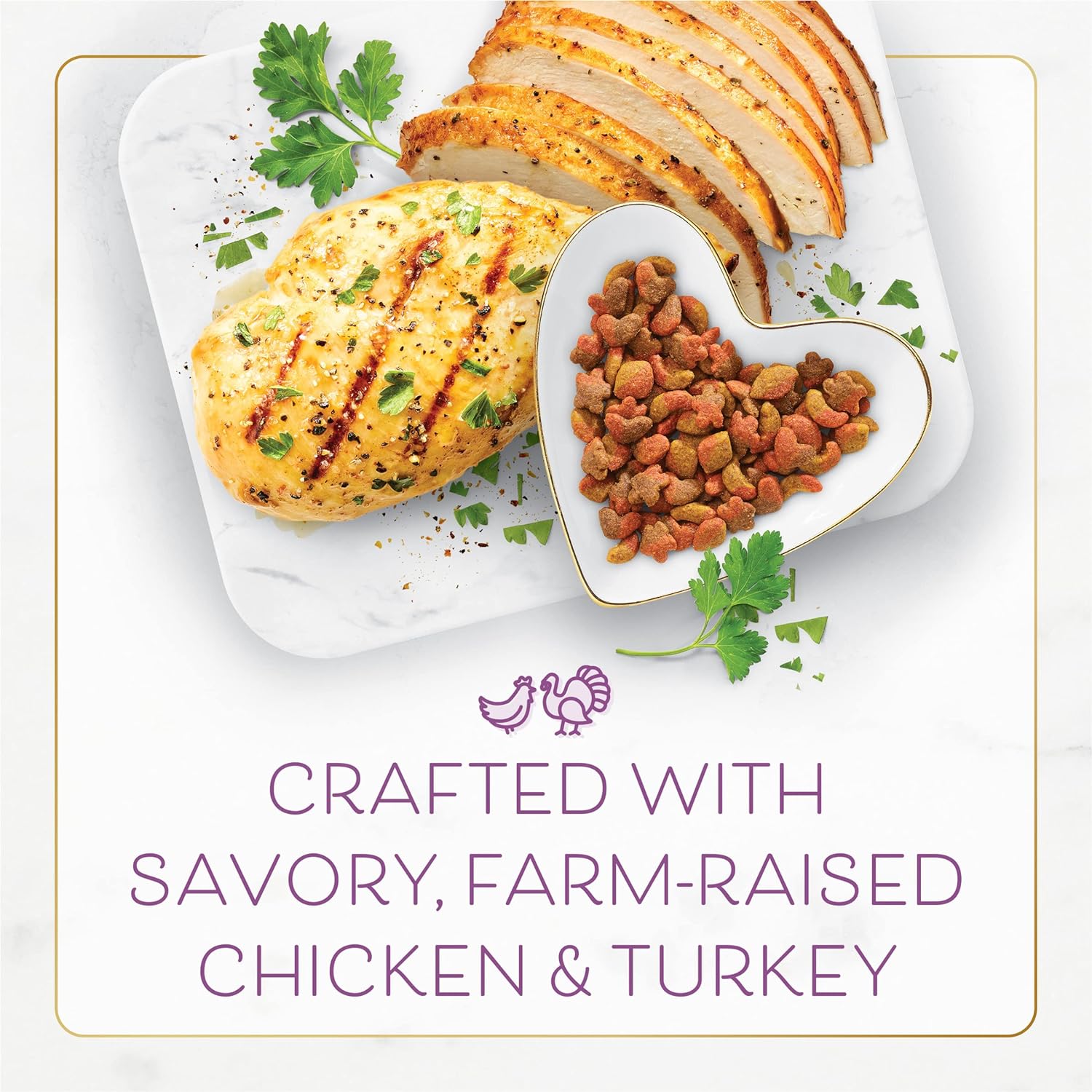 Nourriture sèche pour chats Purina Fancy Feast avec poulet salé et dinde, sac de 7 livres