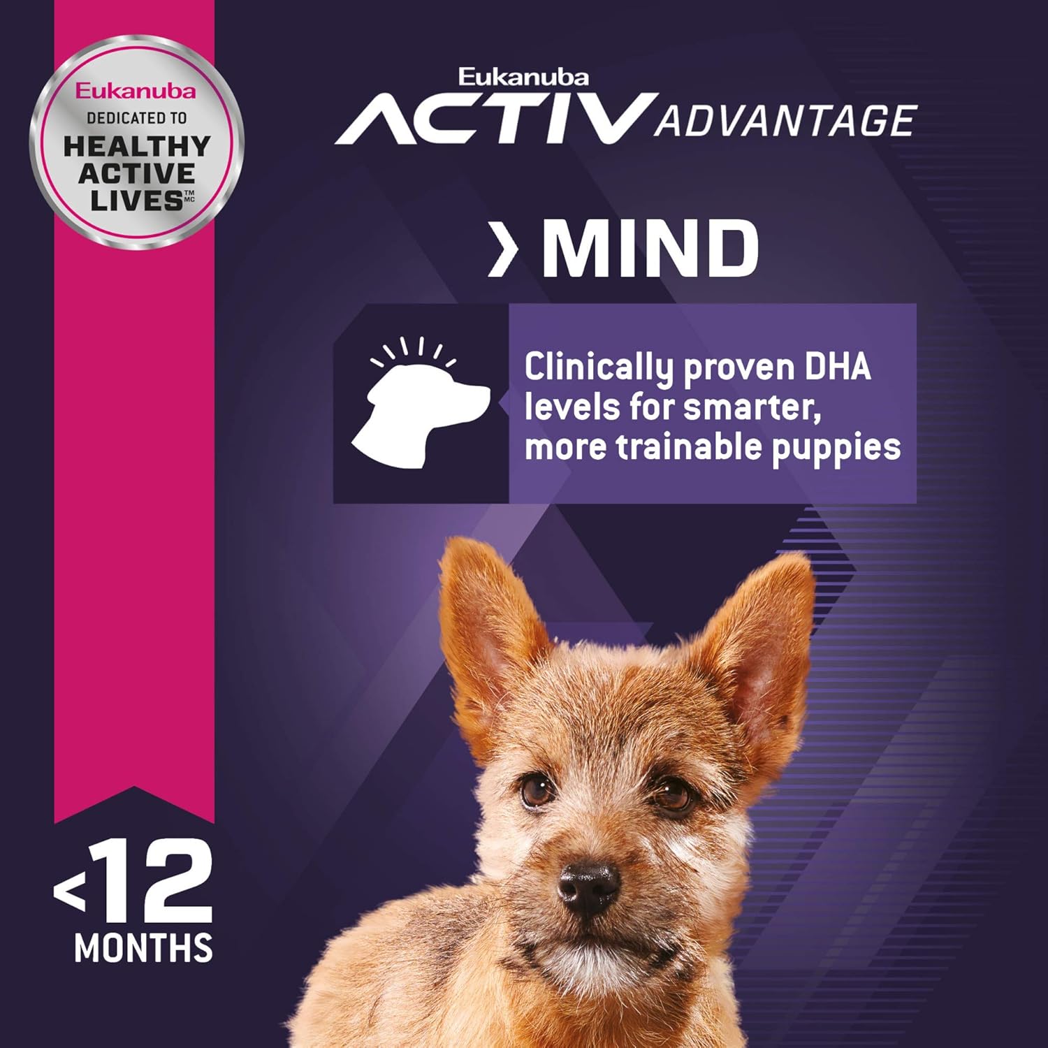 طعام جاف للكلاب من سلالة Eukanuba Puppy Small Breed، 15 رطلاً