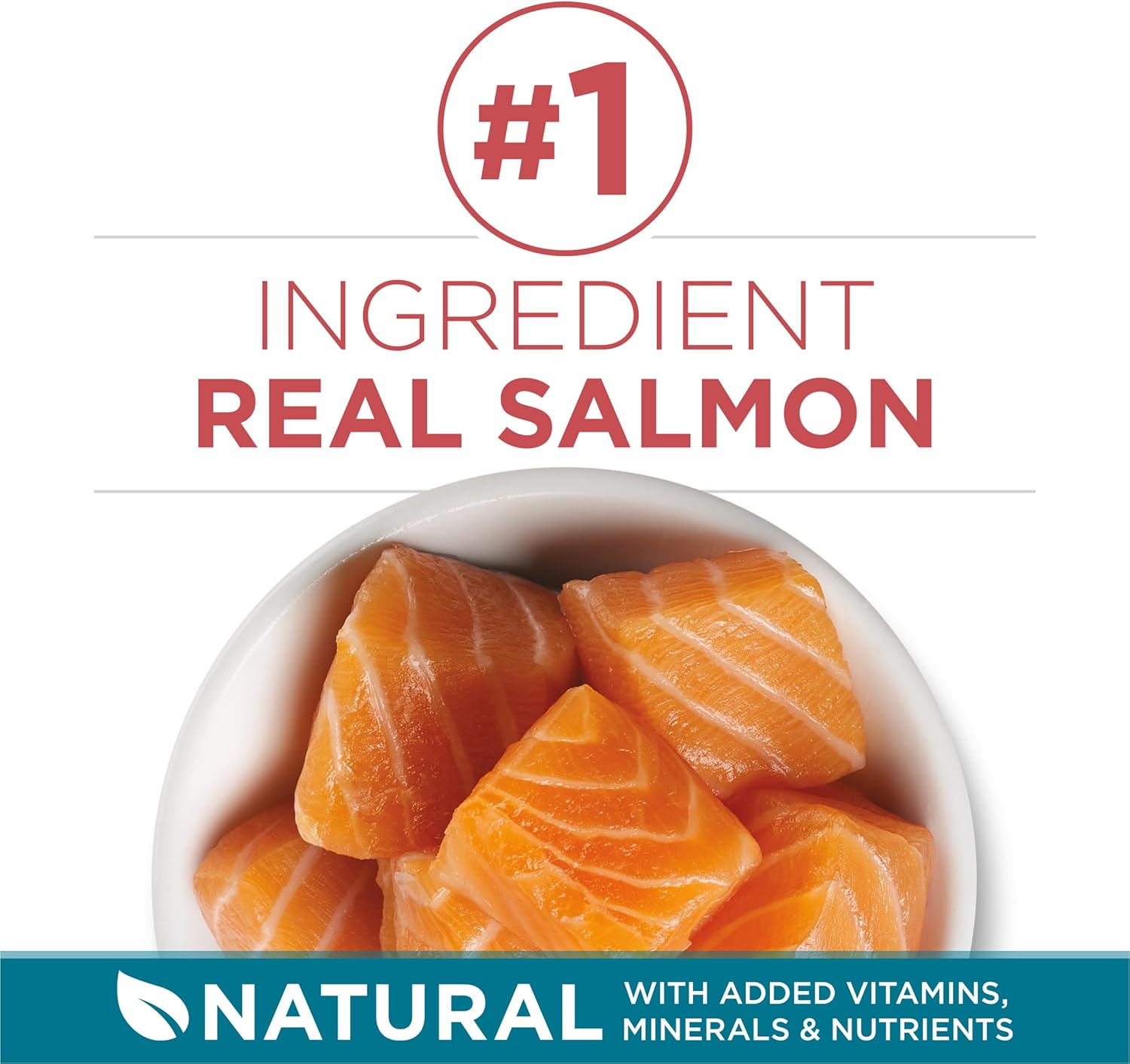 Purina ONE Natural Dry Cat Food, Tender Selects Blend With Real Salmon - 7 lb. Bag · v2