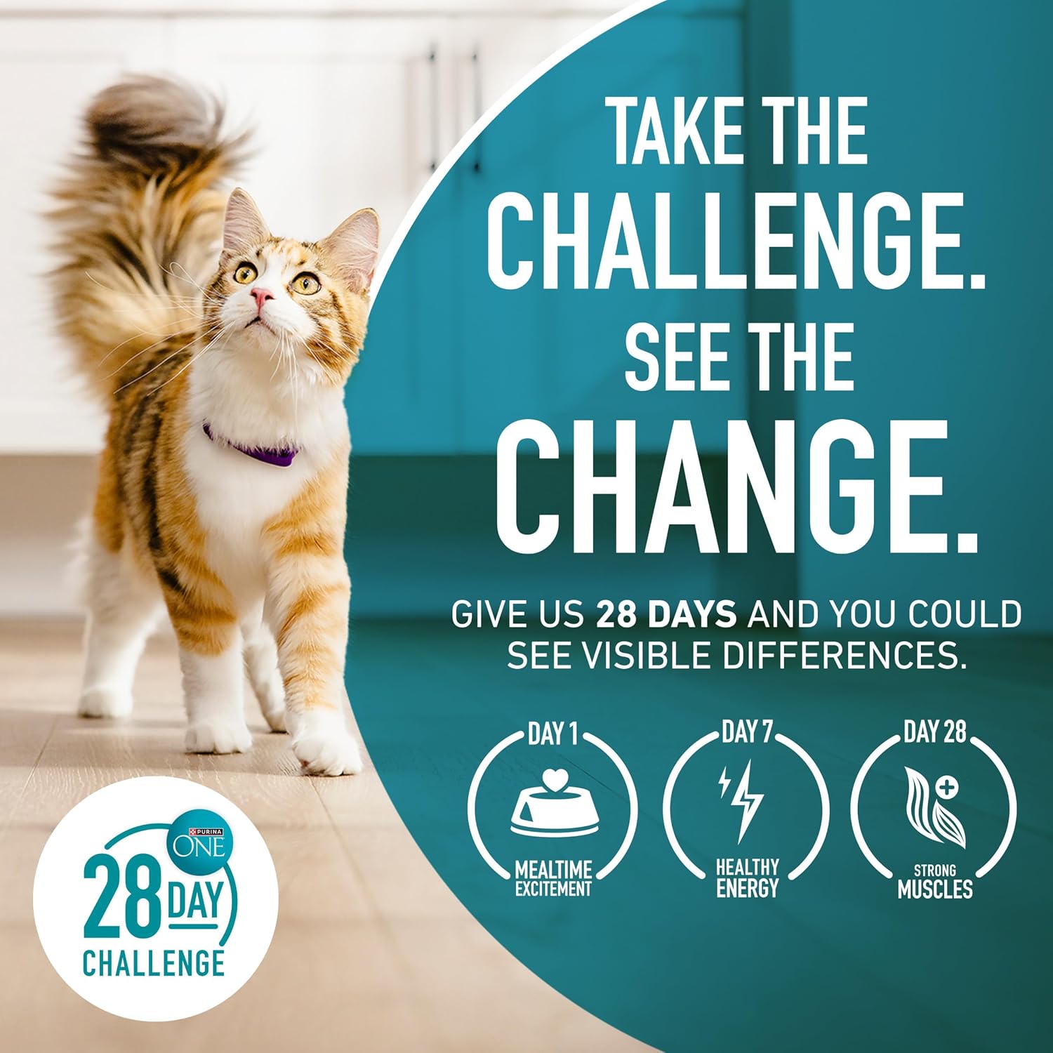 Purina ONE Natural Dry Cat Food, Tender Selects Blend With Real Salmon - 7 lb. Bag · v2