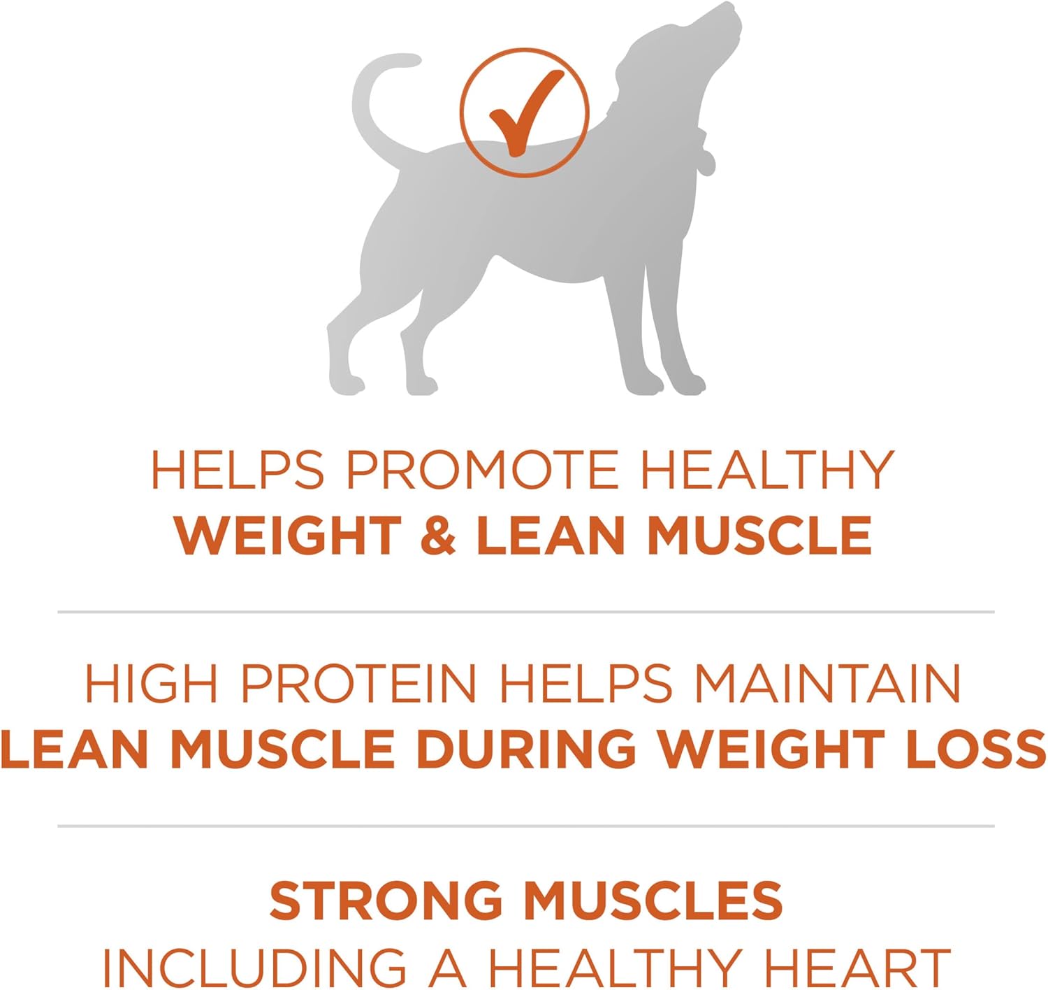 Nourriture sèche pour chiens Purina ONE Plus Healthy Weight, formule sèche, sac de 16,5 livres