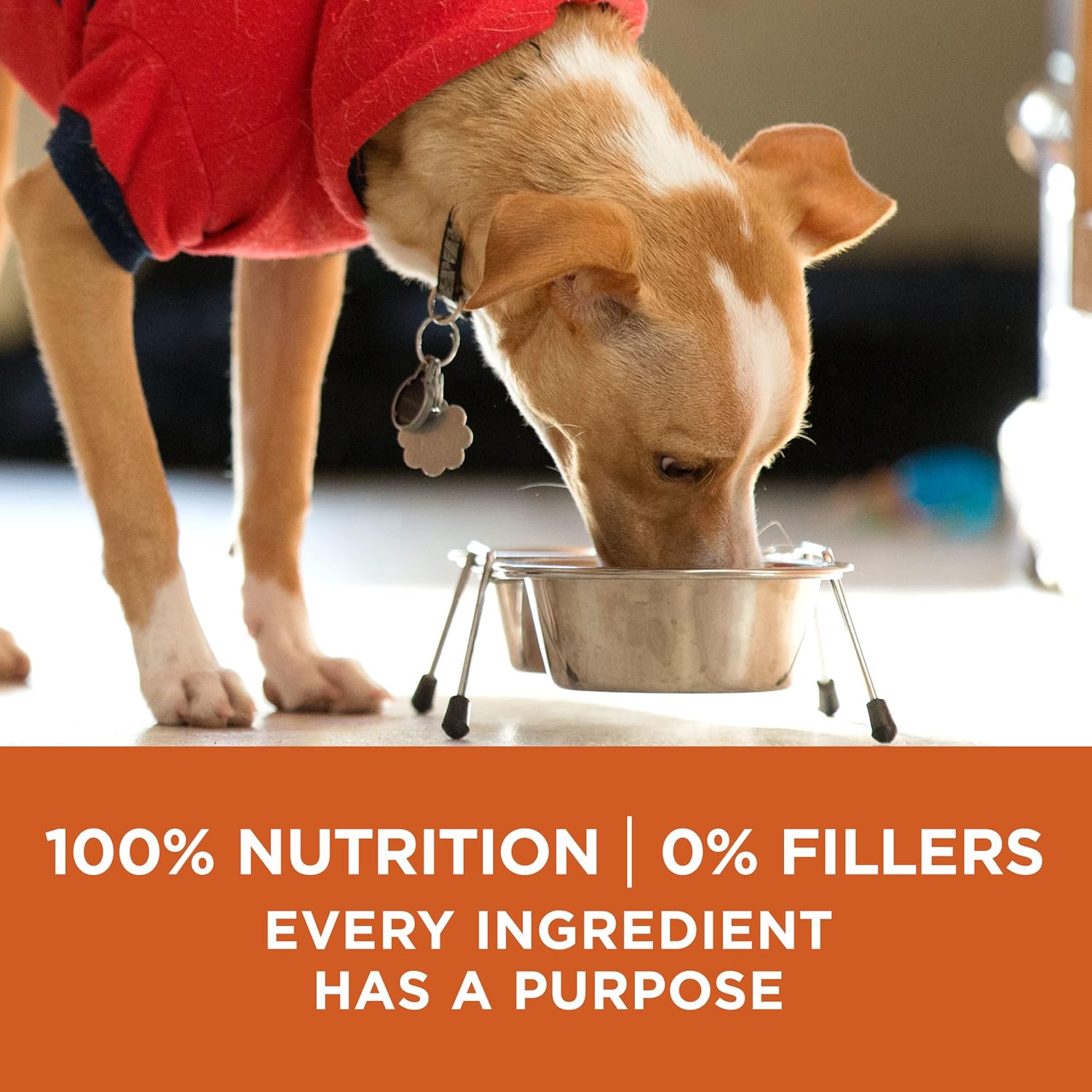 Nourriture sèche pour chiens Purina ONE Plus Healthy Weight, formule sèche, sac de 16,5 livres