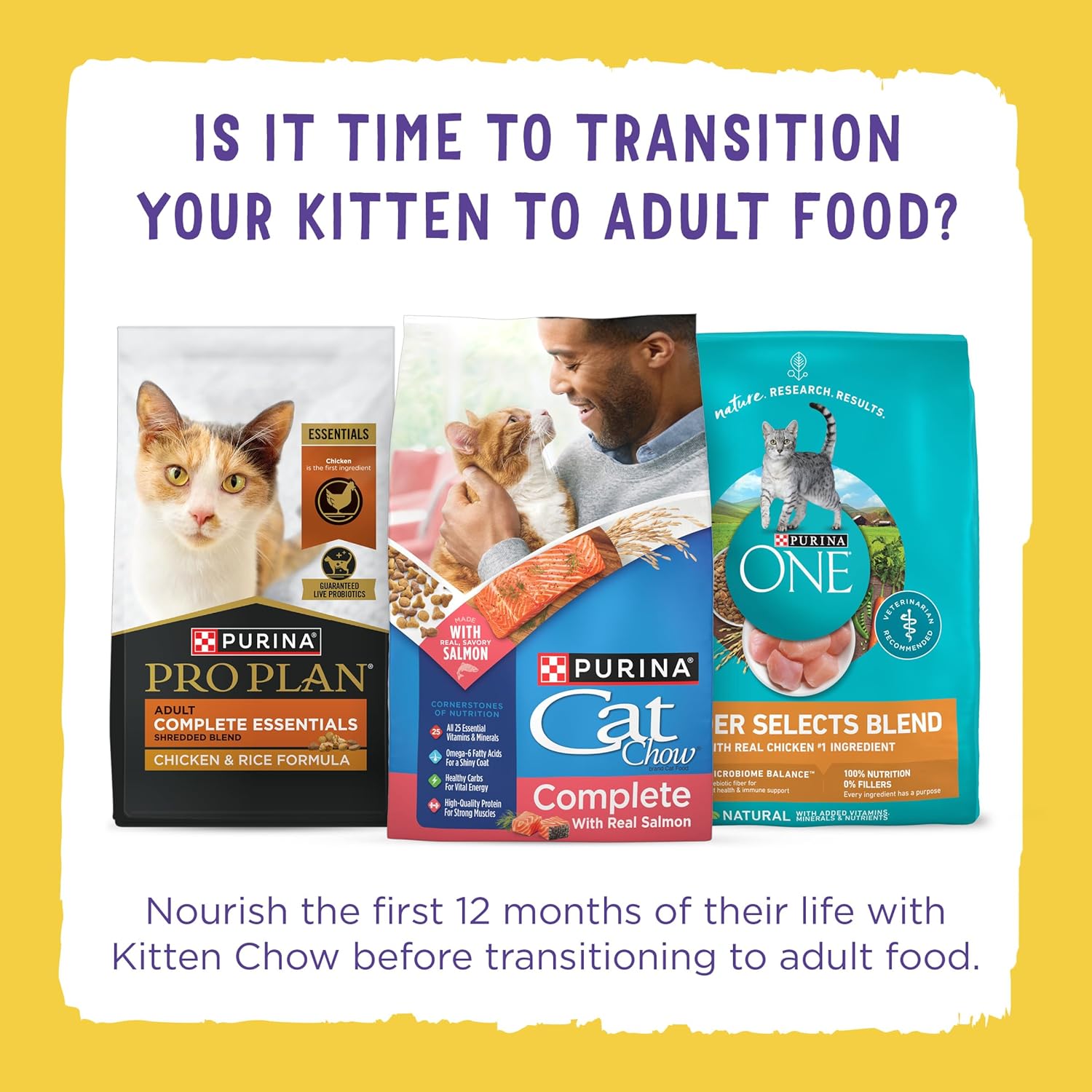 Purina Kitten Chow Kitten Food Healthy Development with Real Chicken Dry Kitten Food - 14 lb. Bag · v2
