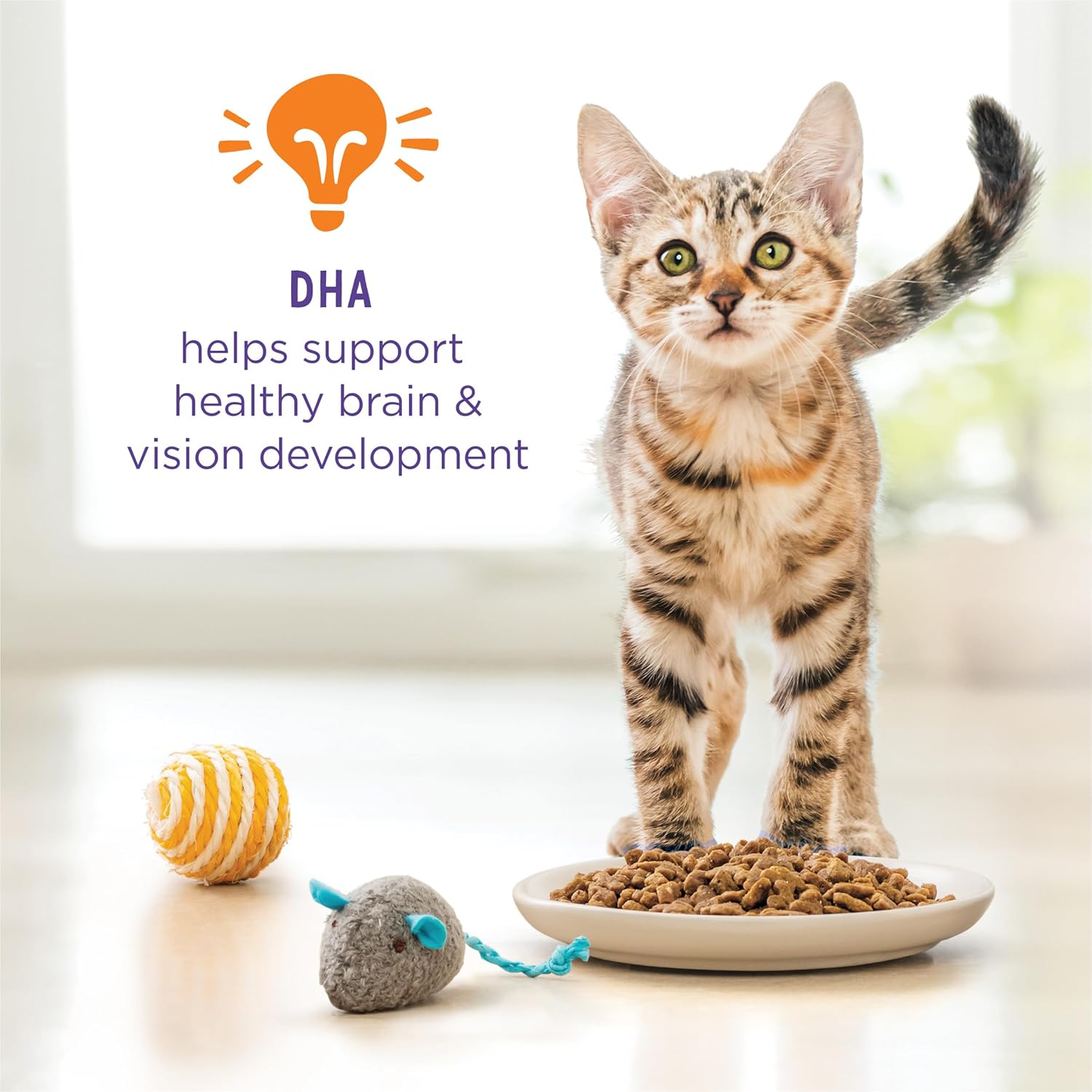 Purina Kitten Chow Kitten Food Healthy Development with Real Chicken Dry Kitten Food - 14 lb. Bag · v2