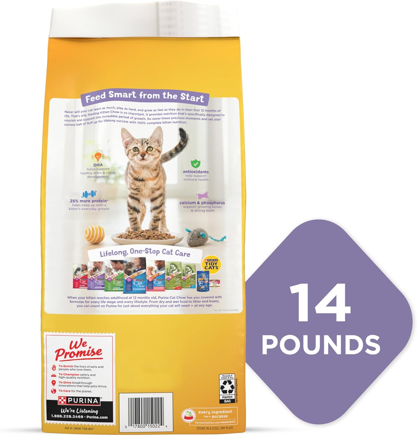 Purina Kitten Chow Kitten Food Healthy Development with Real Chicken Dry Kitten Food - 14 lb. Bag · v2