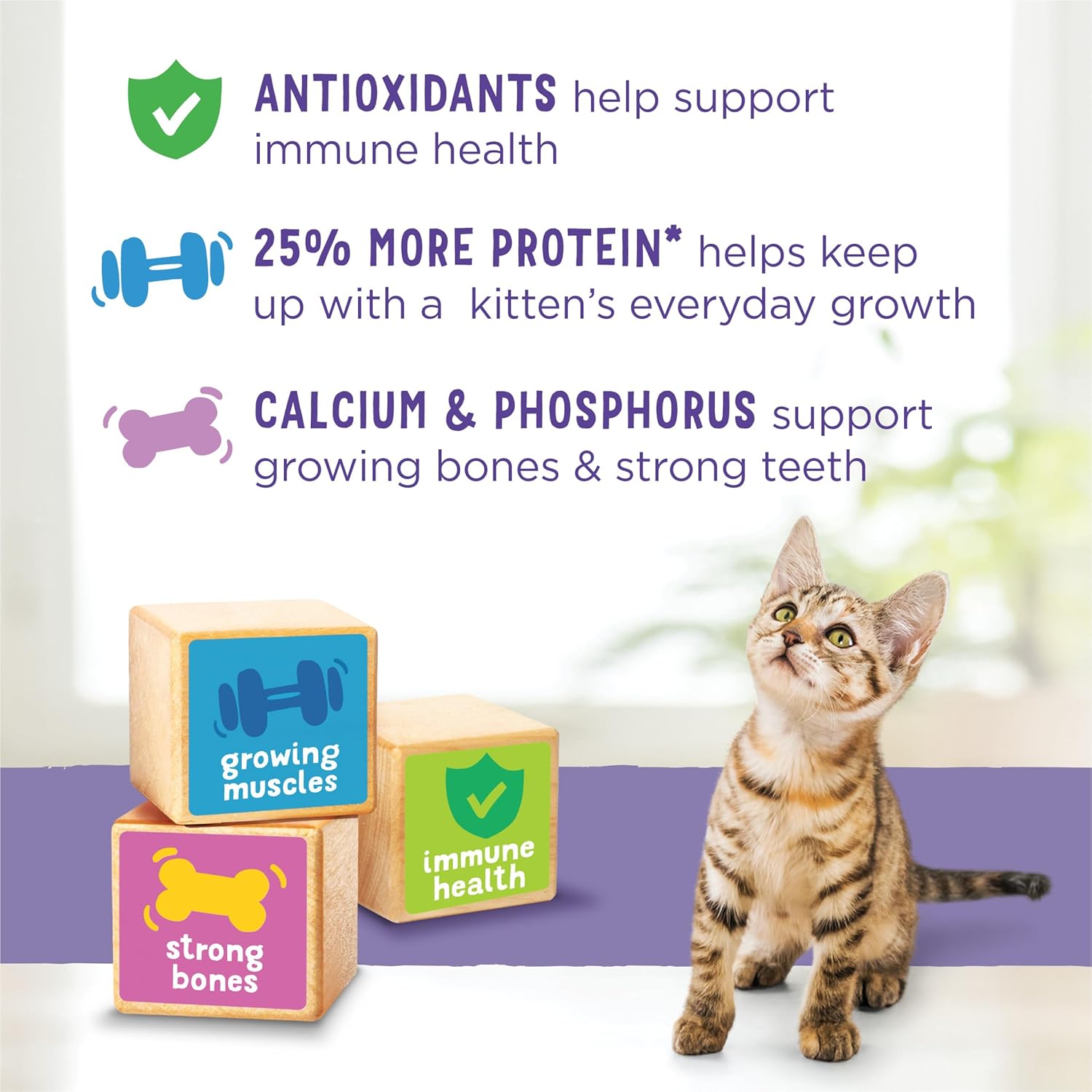 Purina Kitten Chow Kitten Food Healthy Development with Real Chicken Dry Kitten Food - 14 lb. Bag · v2