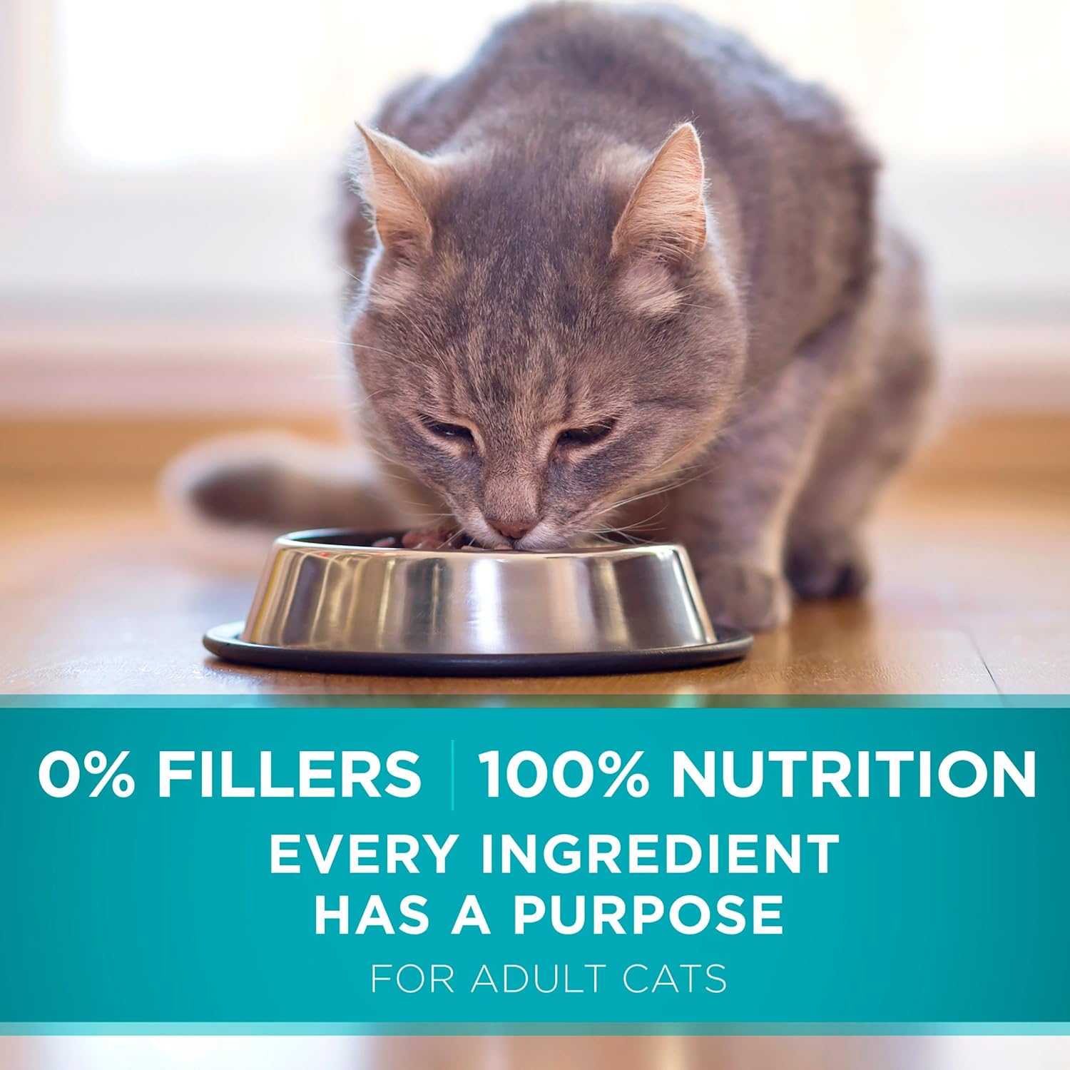 Purina ONE Doğal Kuru Kedi Maması, Tender Gerçek Somonlu Karışımı Seçer - 3,5 lb. Çanta