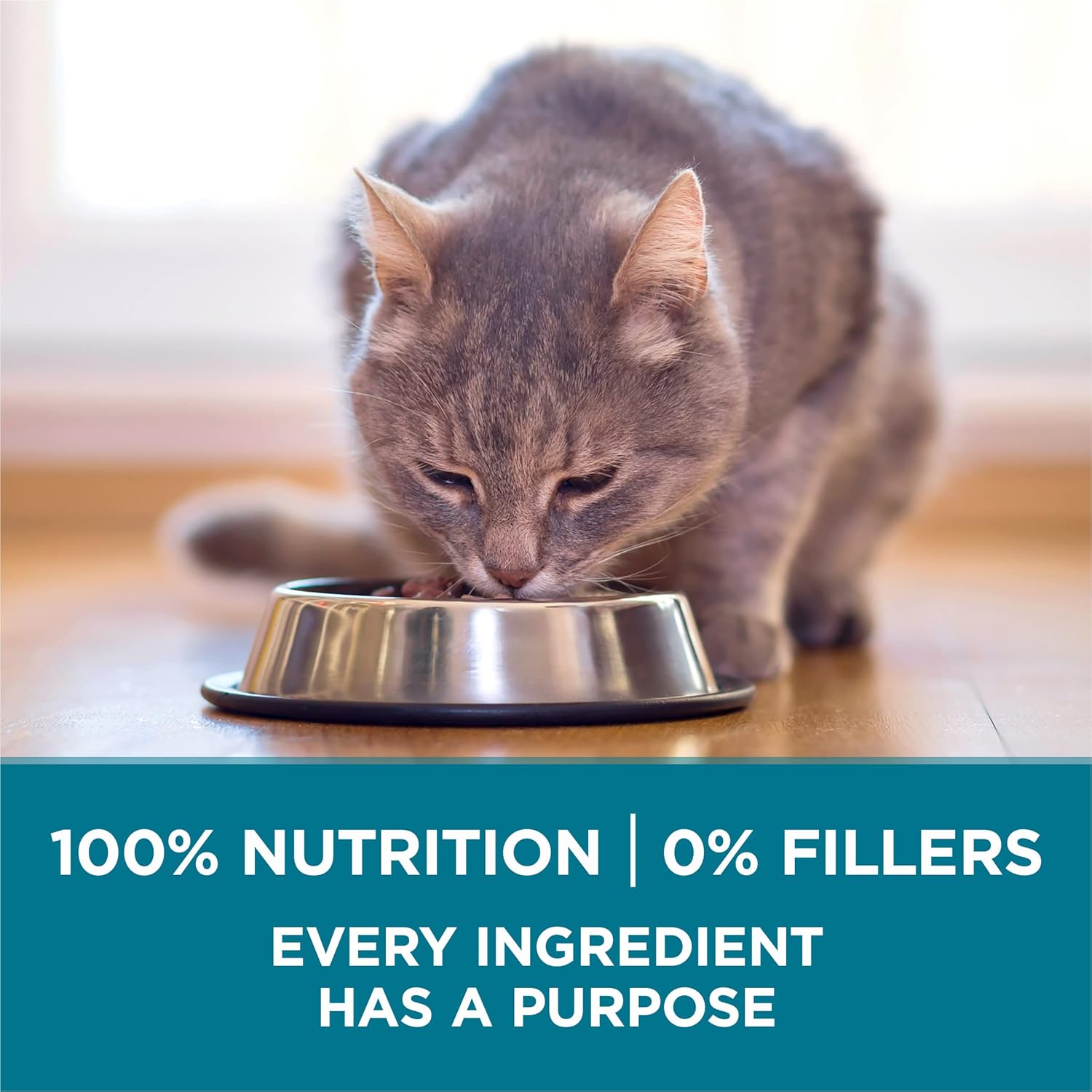 Purina ONE Doğal Kuru Kedi Maması, Tender Gerçek Somonlu Karışımı Seçer - 3,5 lb. Çanta