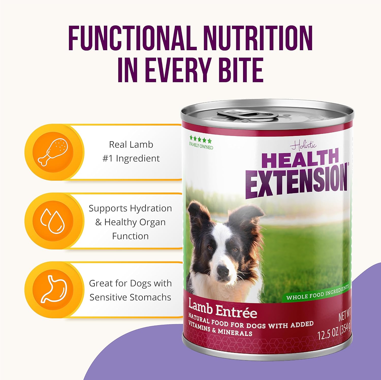 Health Extension Lamb Entrée Wet Dog Food, 12.5 oz - High-Protein Recipe, Hydration Support, Ideal for Sensitive Stomachs (Case of 12 Cans) · v2