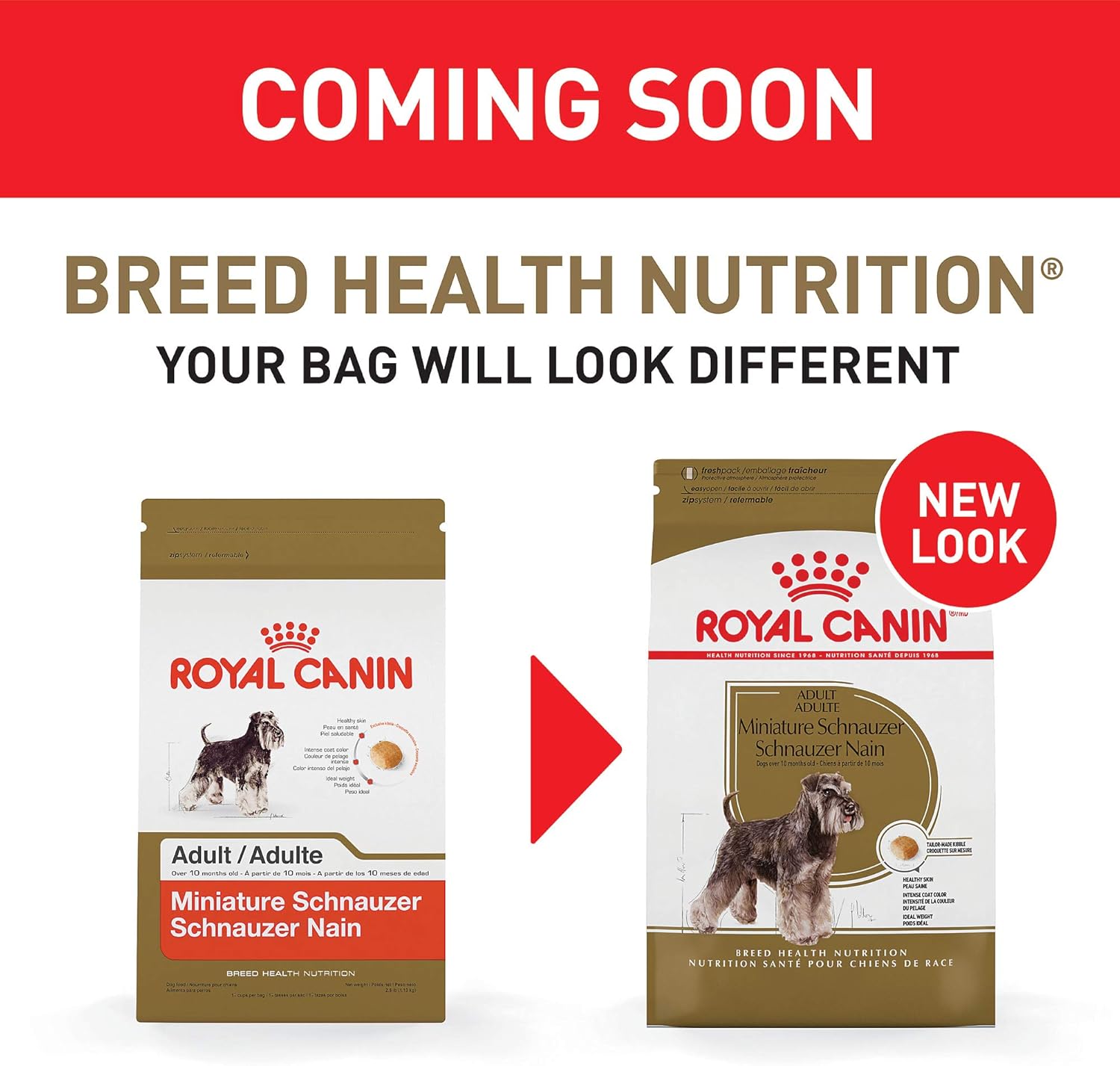 Nourriture sèche pour chiens Royal Canin Miniature Schnauzer, spécifique à une race adulte, sac de 10 livres