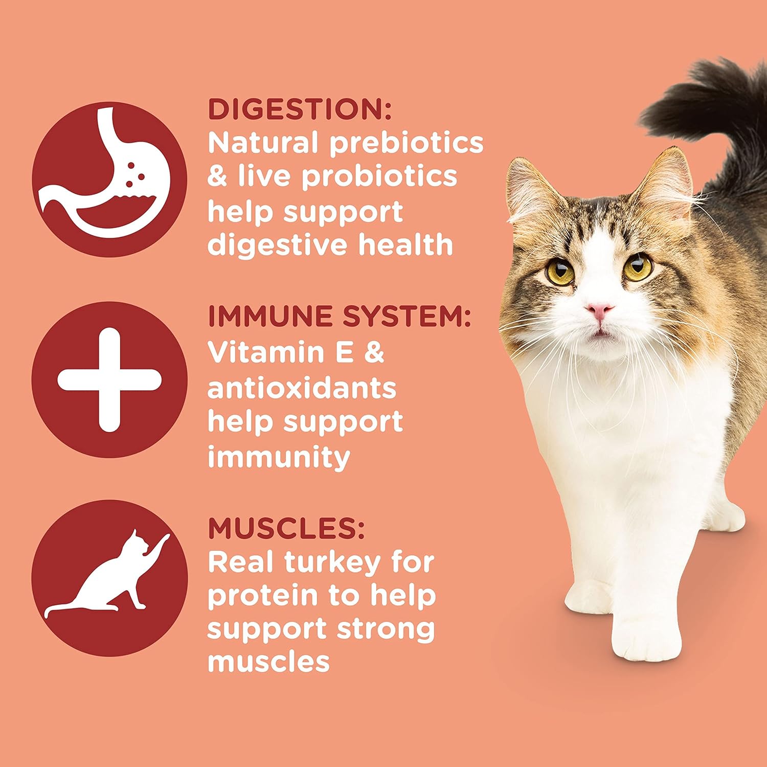 Nourriture sèche naturelle de première qualité pour chats Rachael Ray Nutrish Inner Health avec vitamines, minéraux et autres nutriments ajoutés, recette de dinde aux pois chiches et au saumon, 14 livres
