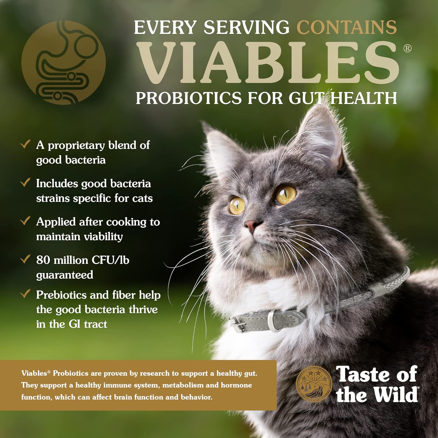 Taste Of The Wild Canyon River Grain-Free Dry Cat Food With Trout  Smoke-Flavored Salmon 5lb
