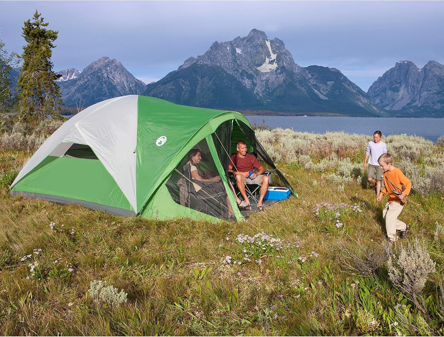 Coleman Evanston Screened Camping Tent, 6/8 Person Weatherproof Tent with Roomy Interior Includes Rainfly, Carry Bag, Easy Setup and Screened-In Porch · v2
