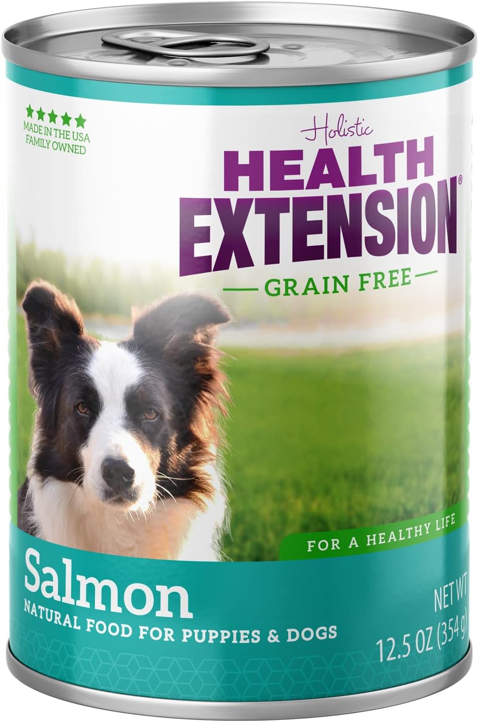 Health Extension Salmon Entrée Wet Dog Food Grain-Free, 12.5 oz - High-Protein Recipe, Hydration Support, Ideal for Sensitive Stomachs (Case of 12 Cans) · v2
