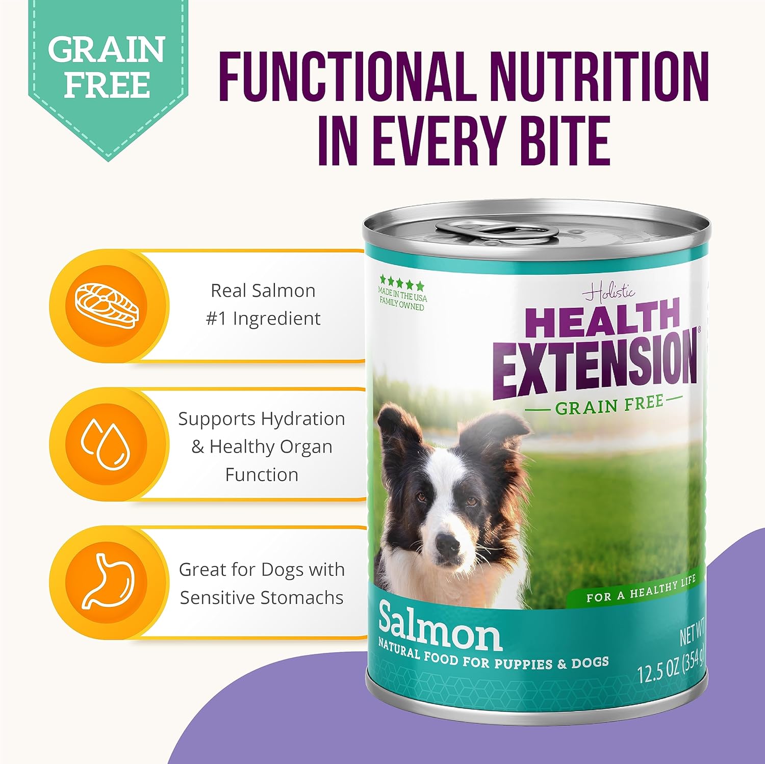 Health Extension Salmon Entrée Wet Dog Food Grain-Free, 12.5 oz - High-Protein Recipe, Hydration Support, Ideal for Sensitive Stomachs (Case of 12 Cans) · v2