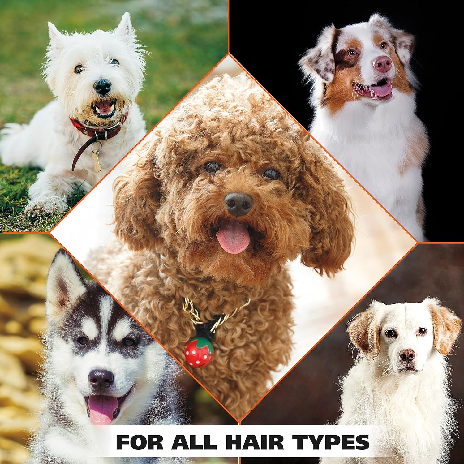 شامبو Wahl USA Dry Skin Itch Relief Pet Shampoo for Dogs – تركيبة الشوفان مع جوز الهند والليمون والفيربينا وتركيبة صديقة للحيوانات الأليفة، 24 أونصة - موديل 820004A