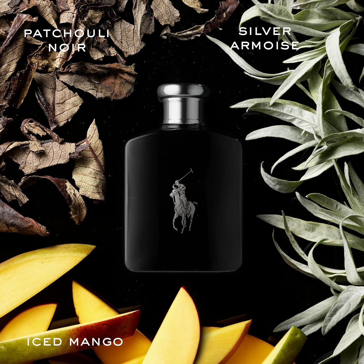 Ralph Lauren - Polo Black - Eau de Toilette - Mens Cologne - Woody  Fresh - With Patchouli, Sandalwood, and Mandarin - Medium Intensity · v2