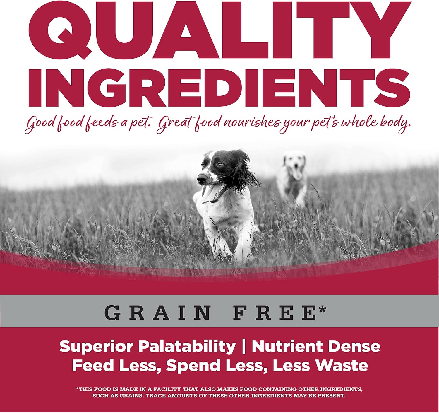 Grain Free Seafood Select Dry Dog Food Size: 5-Lb Bag · v4
