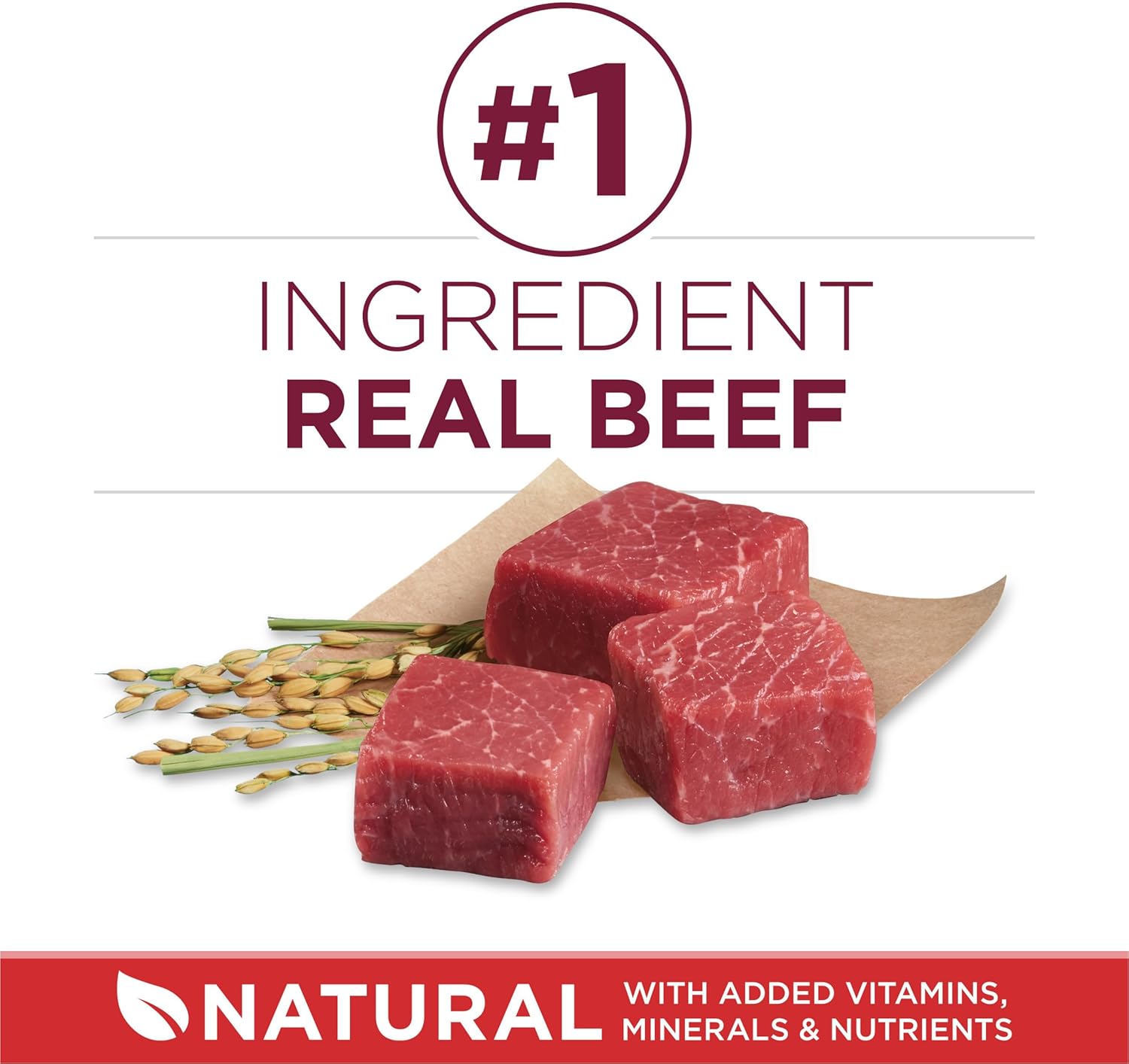 Petite nourriture sèche pour chiens Purina ONE Small Bites, formule bœuf et riz, riche en protéines, naturelle, avec vitamines, minéraux et nutriments ajoutés - Sac de 31,1 livres