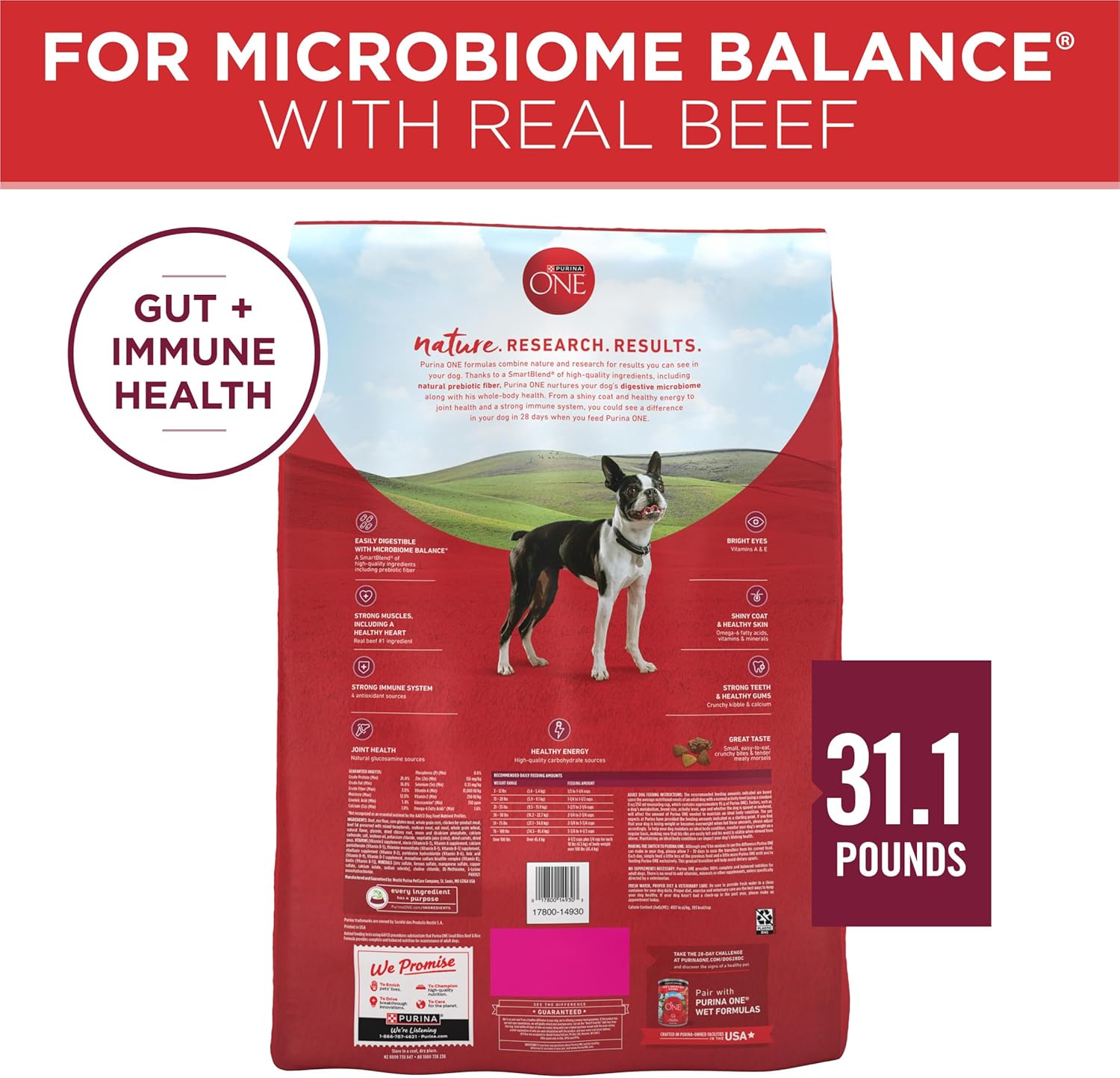 Petite nourriture sèche pour chiens Purina ONE Small Bites, formule bœuf et riz, riche en protéines, naturelle, avec vitamines, minéraux et nutriments ajoutés - Sac de 31,1 livres