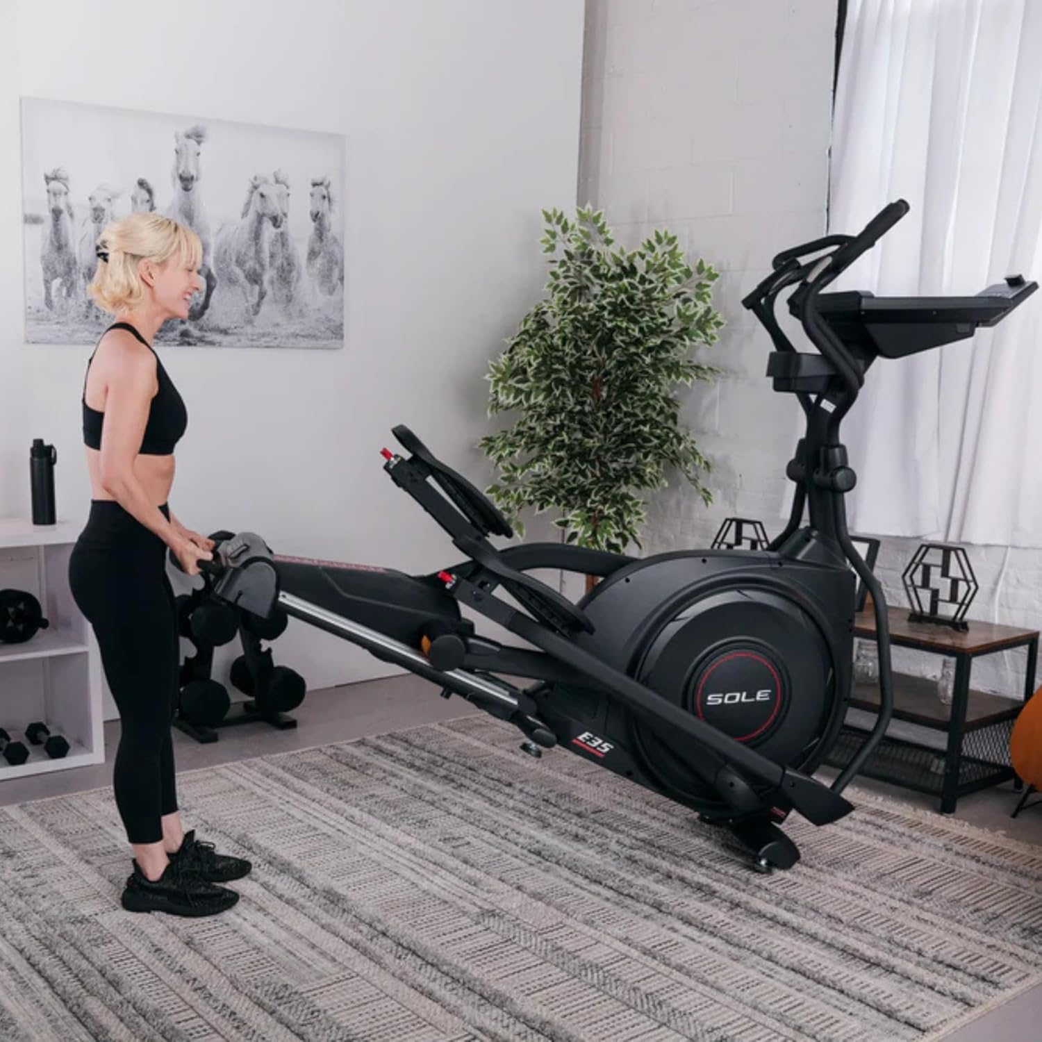 SOLE Fitness Elliptical Exercise Machines, Models E25, E35, E95, E95S, E98, Elliptical Machines for Home Use, Home Exercise Equipment for Cardio Training, Work from Home Fitness Stepper Machine · v6