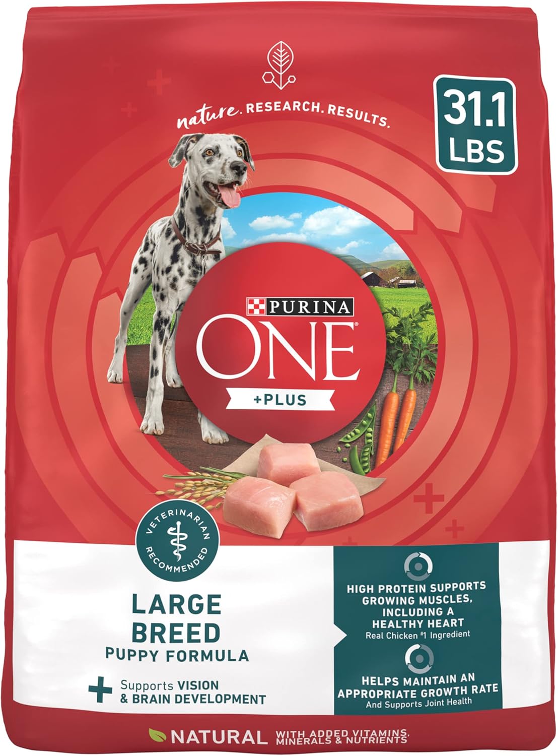 Purina ONE Plus Large Breed Puppy Food Dry Formula - 31.1 lb. Bag · v2