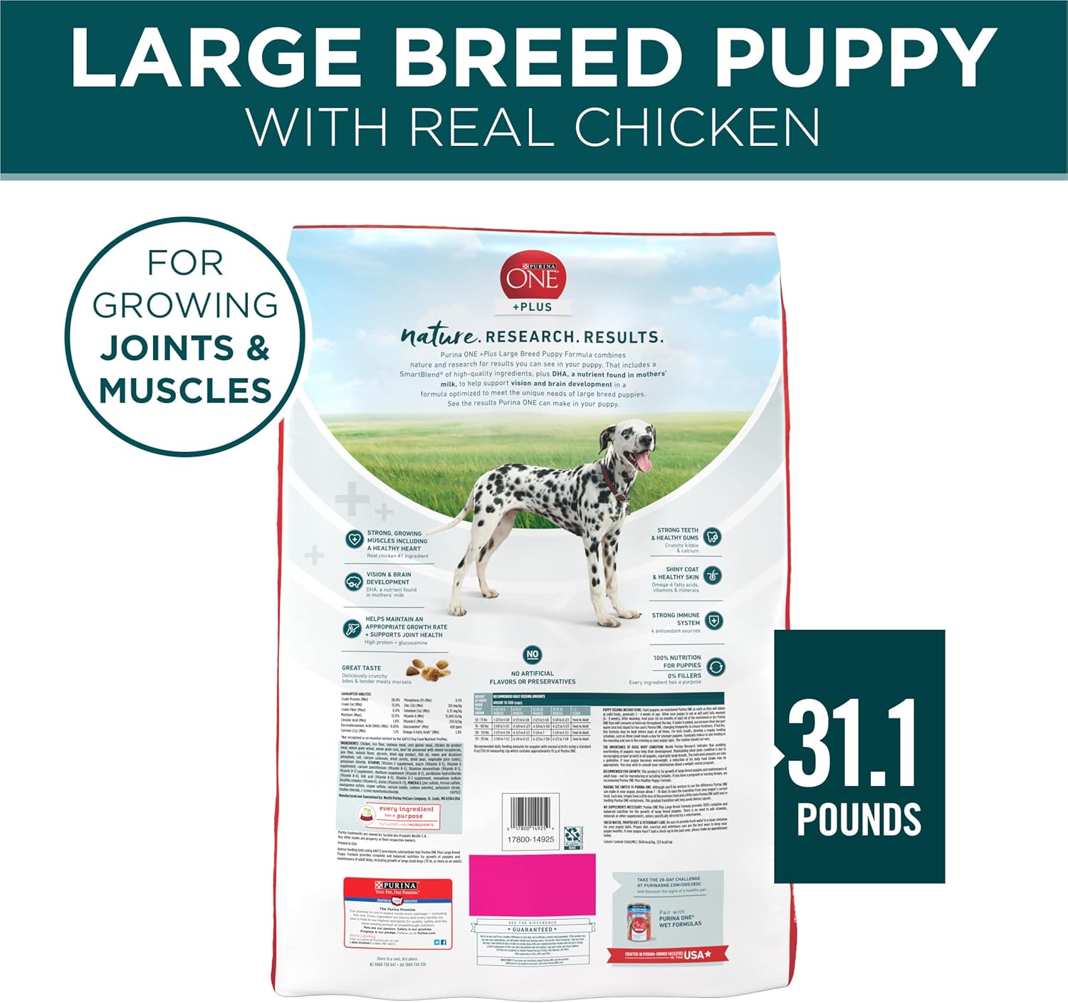 Purina ONE Plus Large Breed Puppy Food Dry Formula - 31.1 lb. Bag · v2