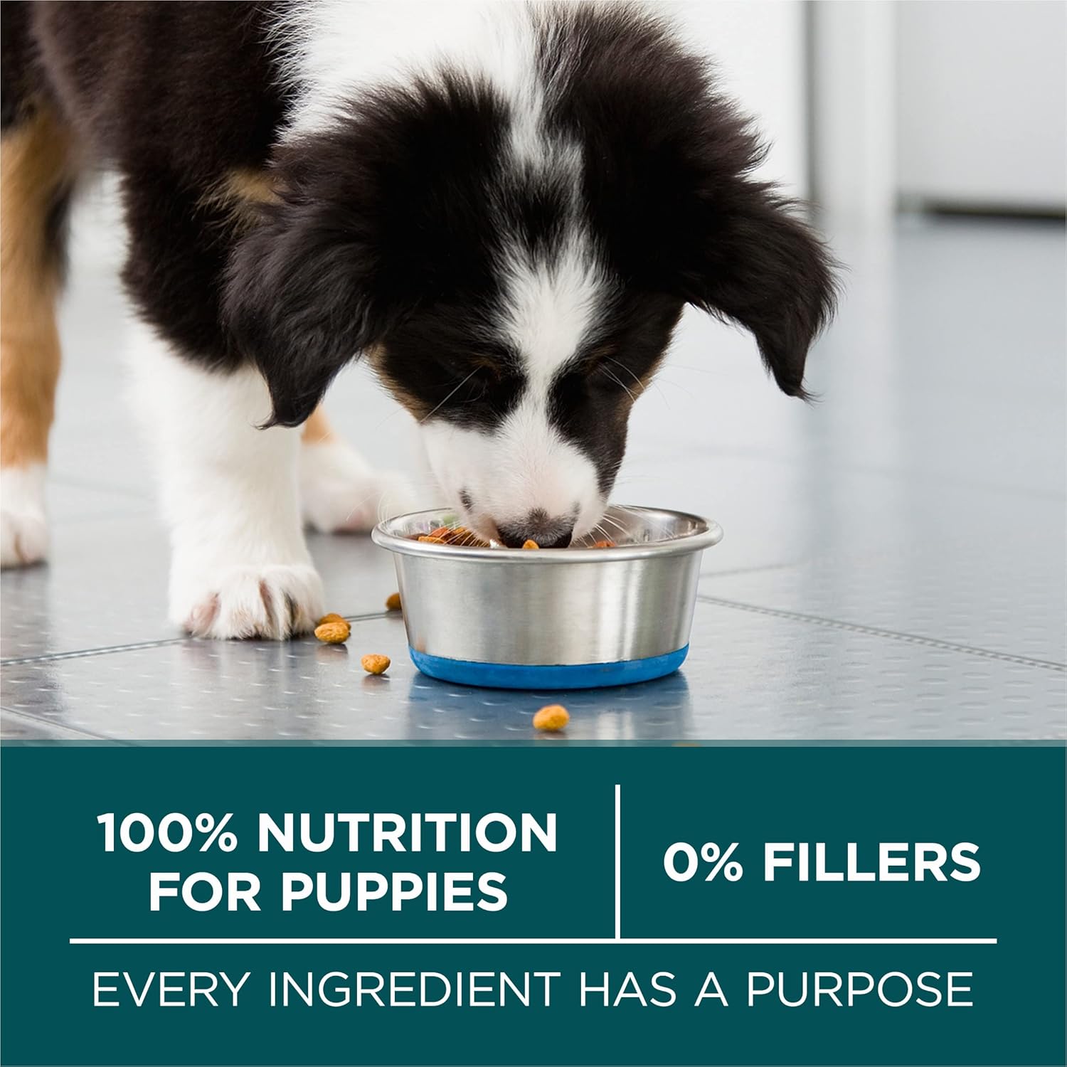 Purina ONE Plus Large Breed Puppy Food Dry Formula - 31.1 lb. Bag · v2