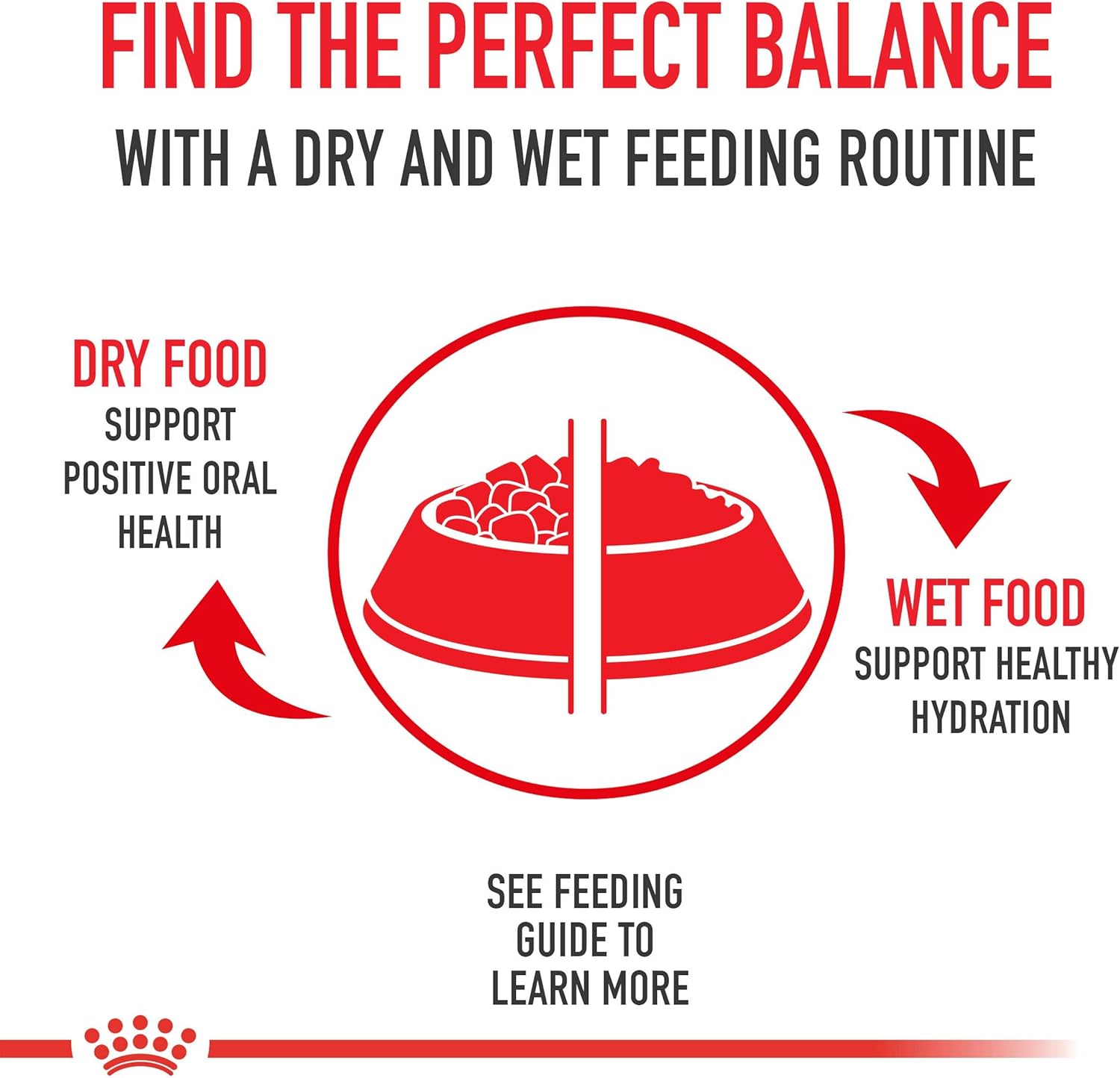 Royal Canin Appetite Control Spayed/Neutered 12 Dry Adult Cat Food, 7 lb bag