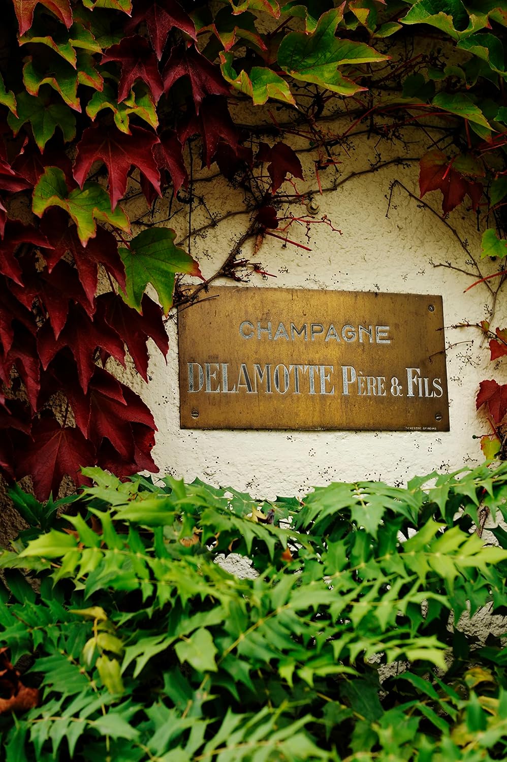Delamotte Brut, 750 ml
