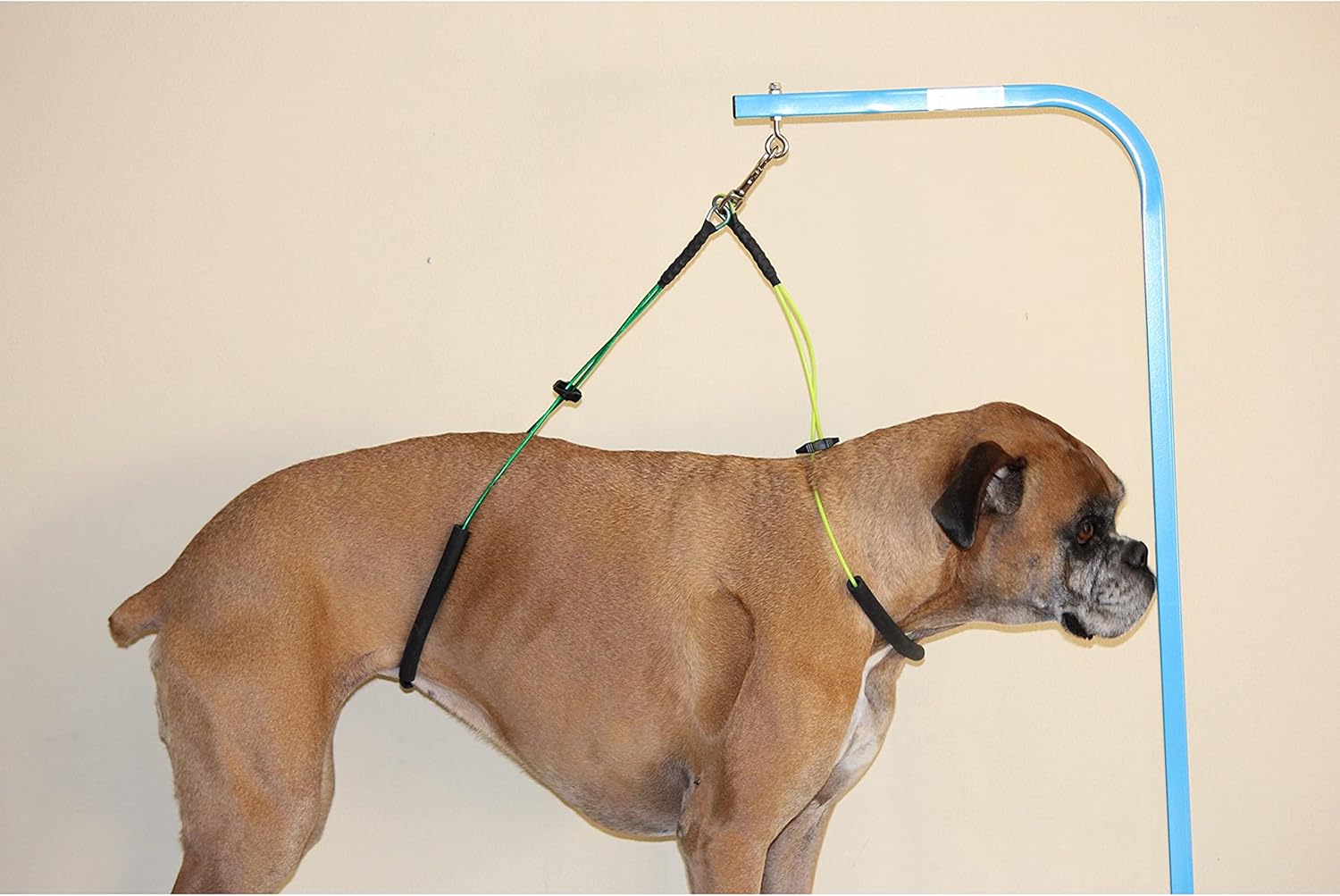 Downtown Pet Supply No Sit Haunch Holder for Dog Grooming Arm and Pet Grooming Table - Dog Grooming Supplies - Stainless Steel Hardware, Rust  Chew Resistant - 19 amp; 21in - Small/Medium (Haunch Only) · v3