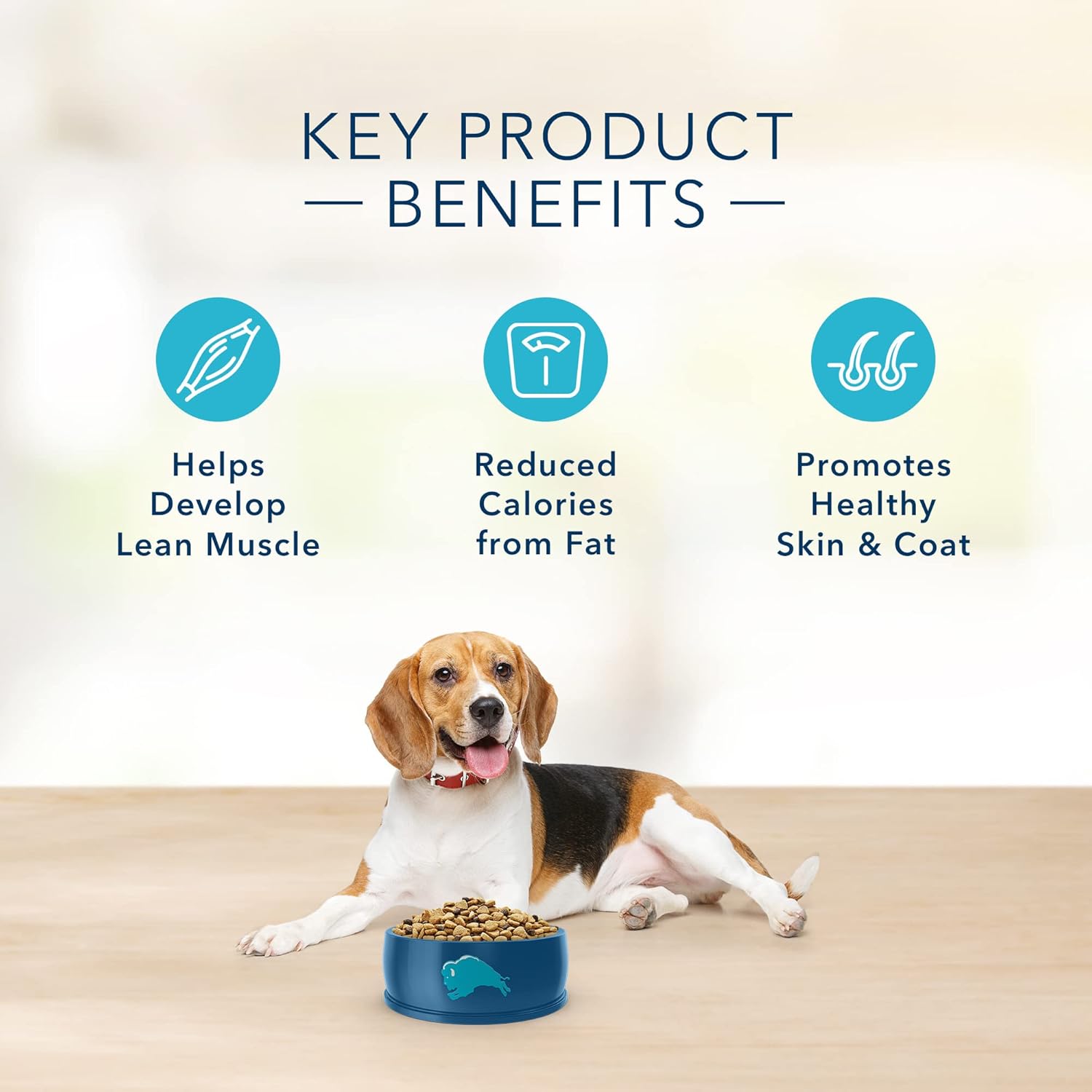 Blue Buffalo Basics Skin  Stomach Care, Natural Adult Healthy Weight Dry Dog Food, Turkey amp; Potato 24-lb · v2