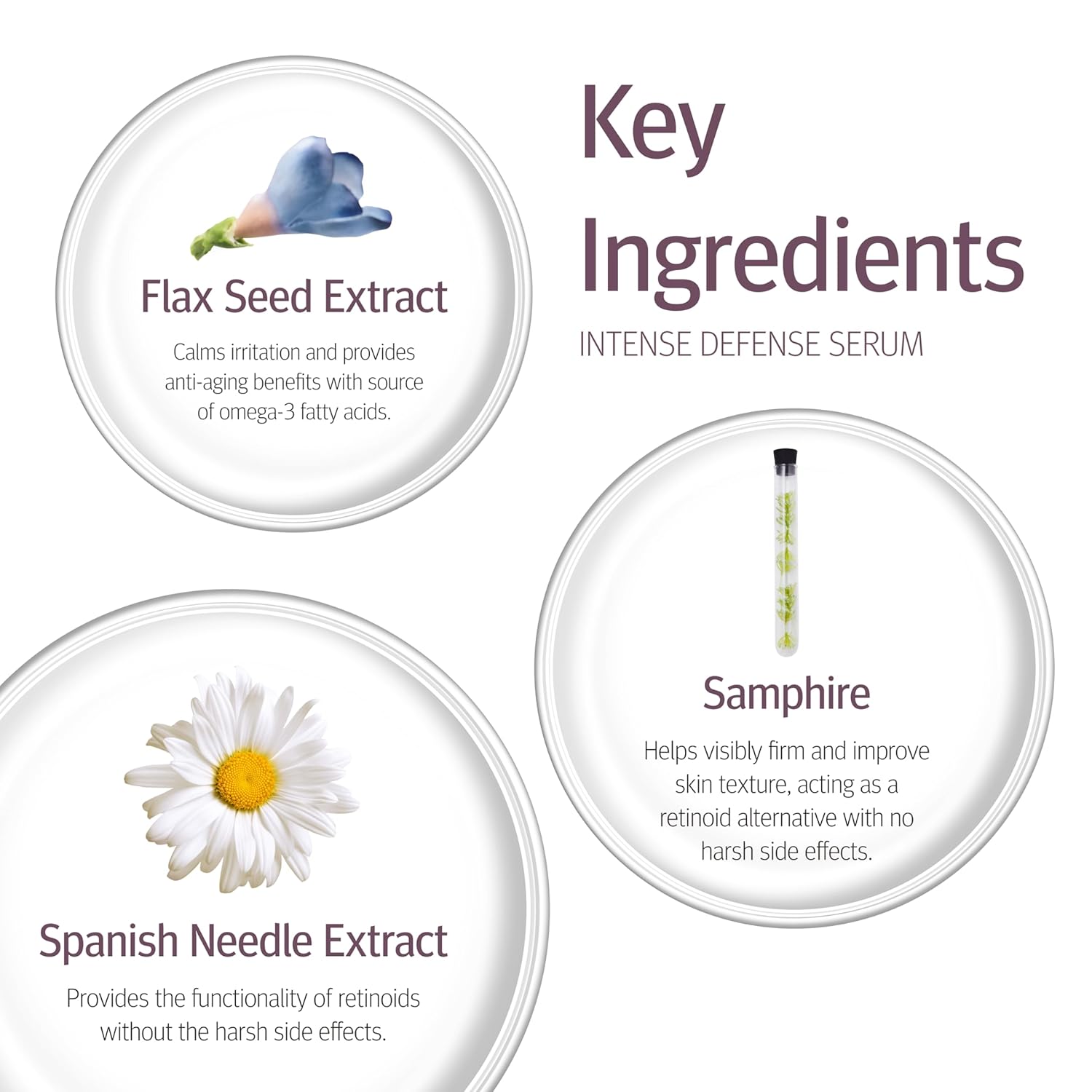 Epionce Intense Defense Serum - Anti-Aging Facial Serum with Vitamin C, Vitamin E, Vitamin D, A, B,  Niacinamide, Dermatologist Skincare · v6