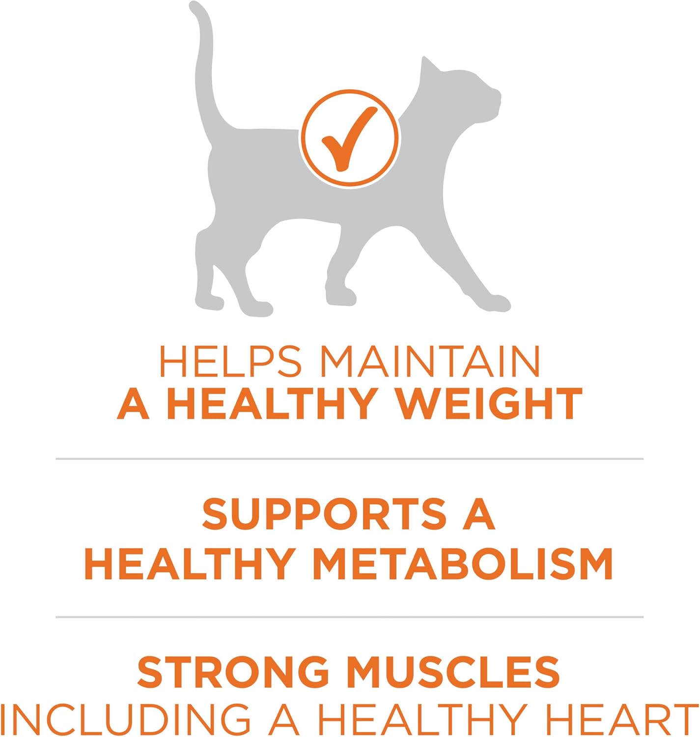 Purina ONE Yüksek Proteinli, Sağlıklı Ağırlıklı Kuru Kedi Maması, Hindi İle İdeal Ağırlık - 16 lb. Çanta