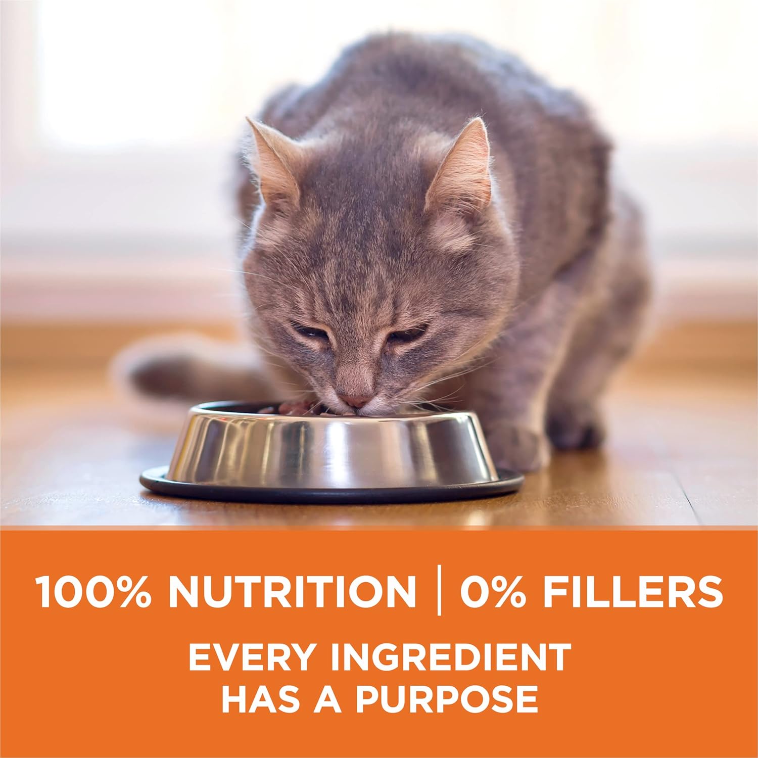 Purina ONE Yüksek Proteinli, Sağlıklı Ağırlıklı Kuru Kedi Maması, Hindi İle İdeal Ağırlık - 16 lb. Çanta