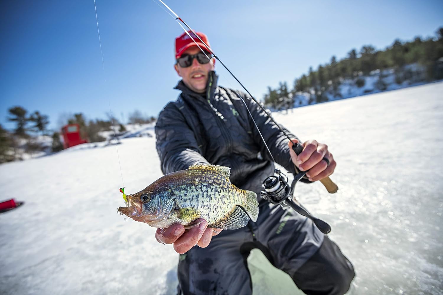 Shakespeare USGXICE30MH Ugly Stik GX2 Ice Fishing Rod, 30 Inches, Medium Heavy · v4