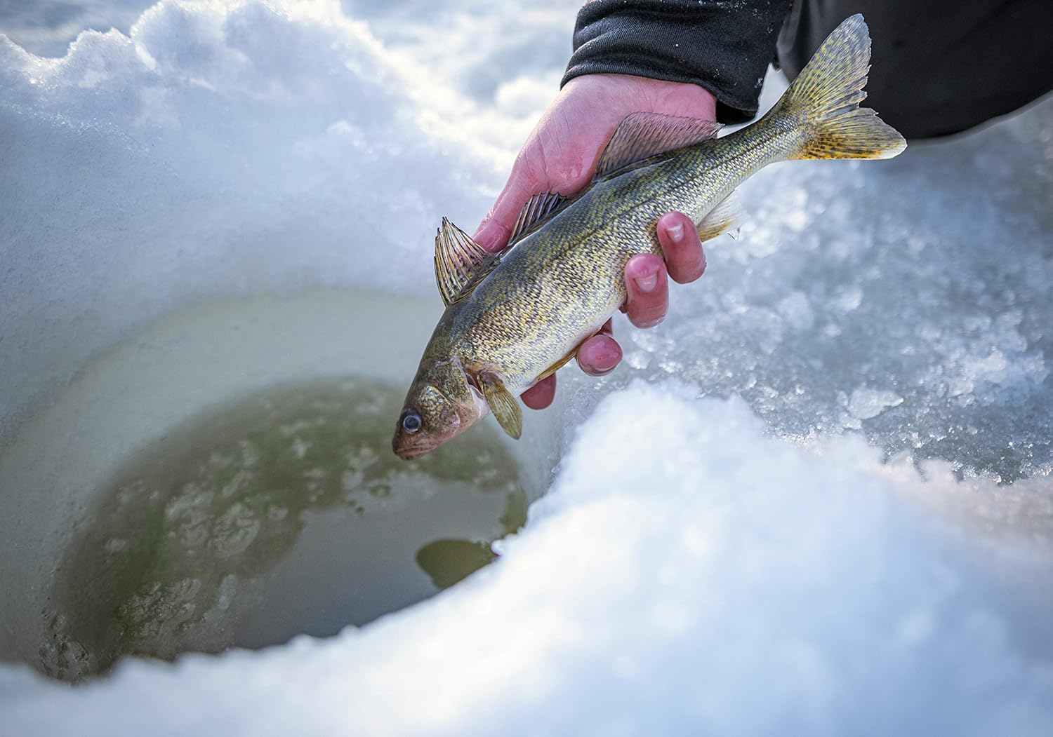 Shakespeare USGXICE30MH Ugly Stik GX2 Ice Fishing Rod, 30 Inches, Medium Heavy · v4