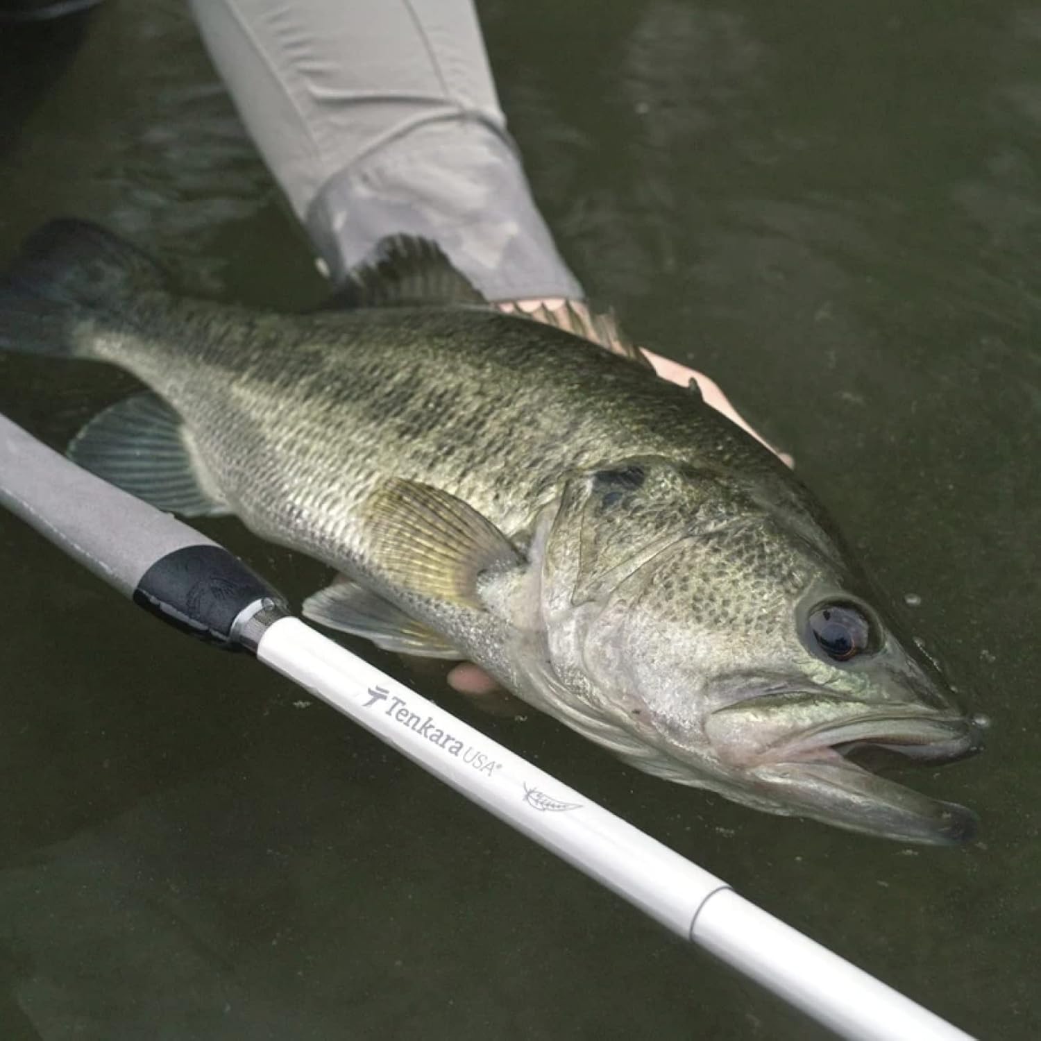 Tenkara USA Fly Fishing HANE™ -Rute mit Etui, superkompakte Allround-Rute für kleine und mittelgroße Fische — ultraportabel, Kohlefaser, leicht (10 Fuß/10 Zoll — 330 cm)