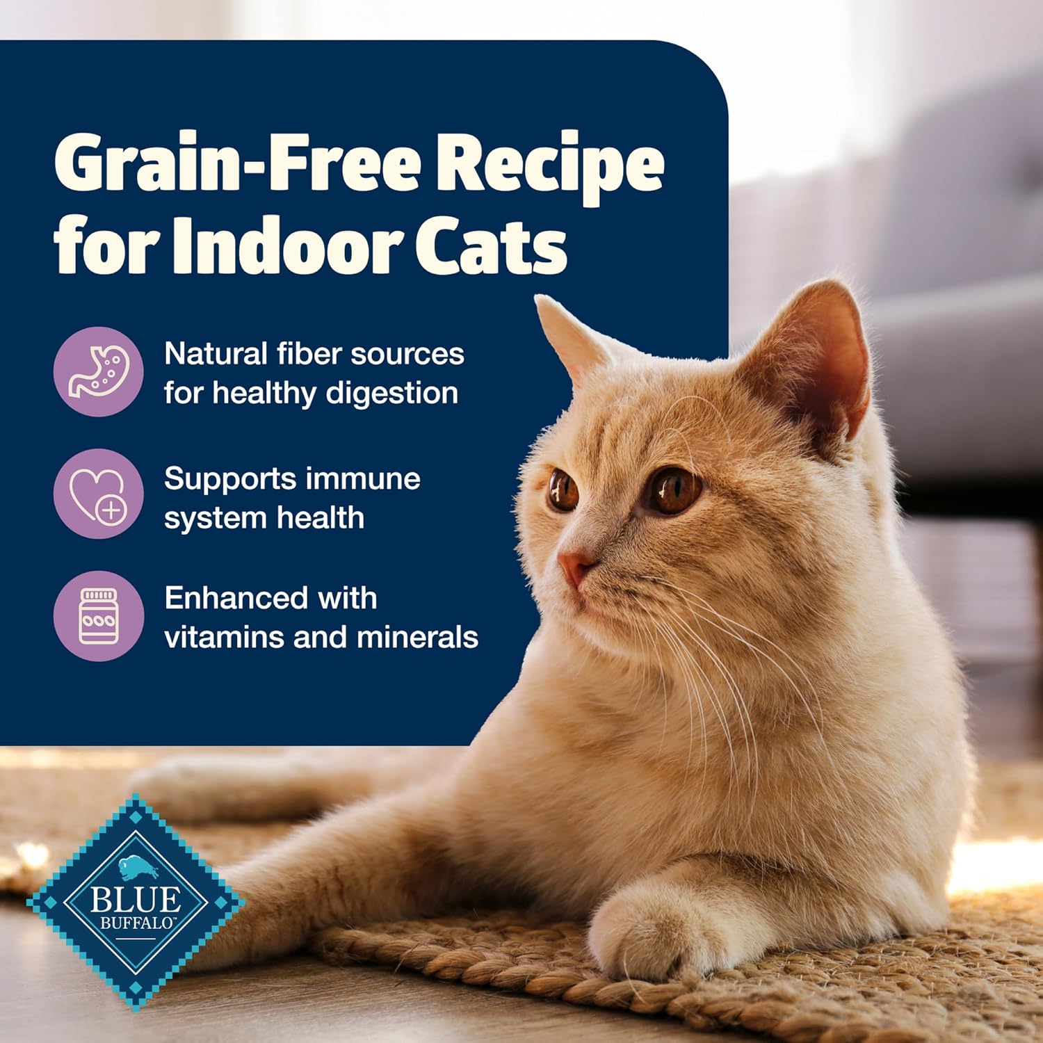 Blue Buffalo Freedom Grain-Free Adult Dry Cat Food, Complete  Balanced Nutrition for Indoor Cats, Made with Natural Ingredients, Chicken Recipe, 5-lb. Bag · v2